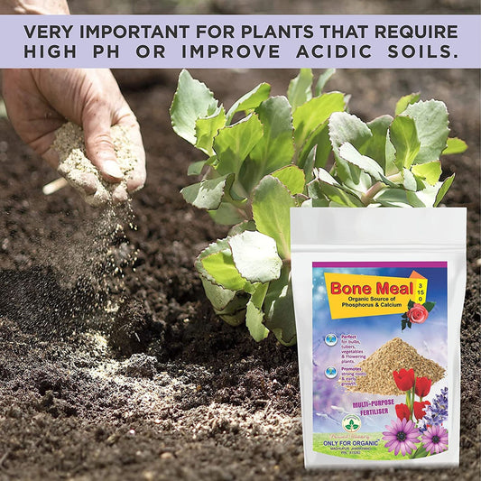 Steamed Bone Meal Fertiliser – Rich Source of Phosphorus & Calcium for Stronger Roots