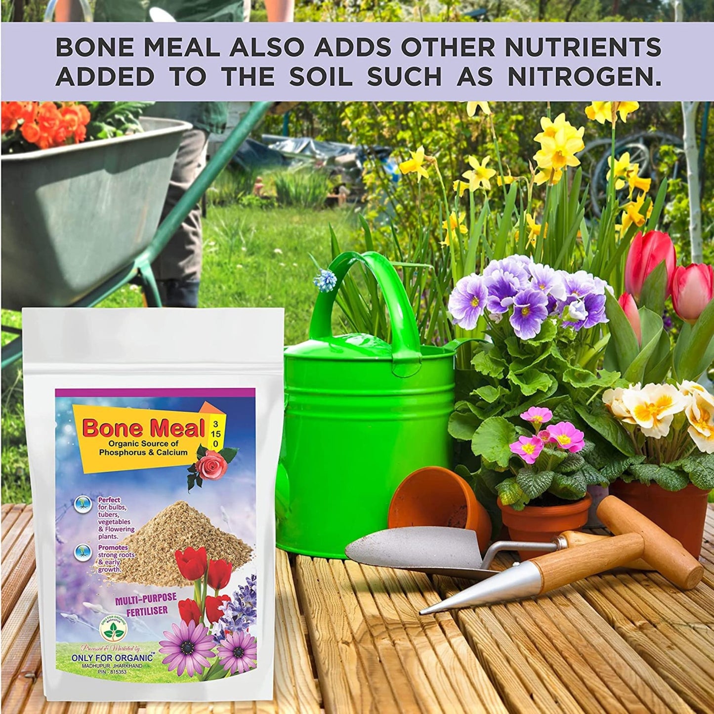 Steamed Bone Meal Fertiliser β Rich Source of Phosphorus & Calcium for Stronger Roots