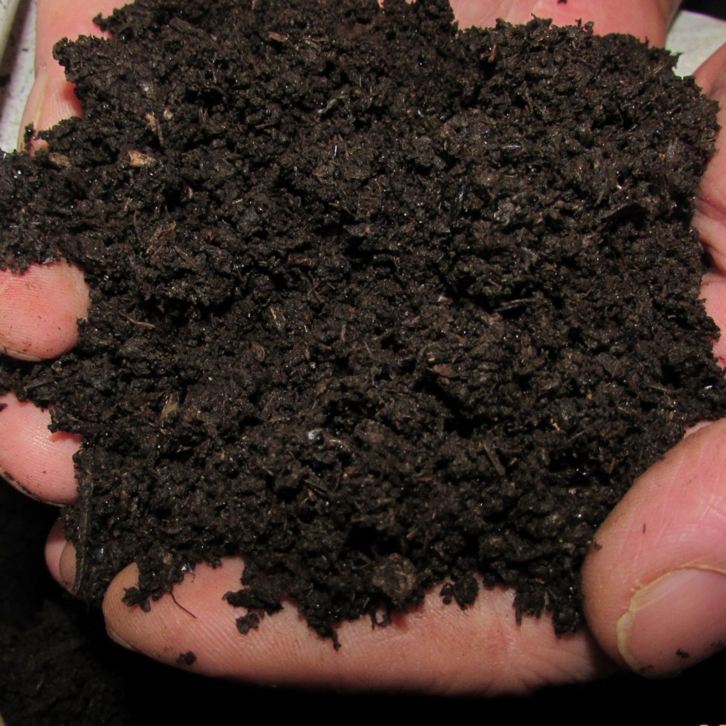Organic Cow Dung Cake - Enhances Soil Fertility & Acts as a Natural Fuel