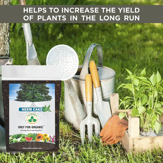 Neem Cake Powder for Plants – Boosts Soil Health & Prevents Root Diseases