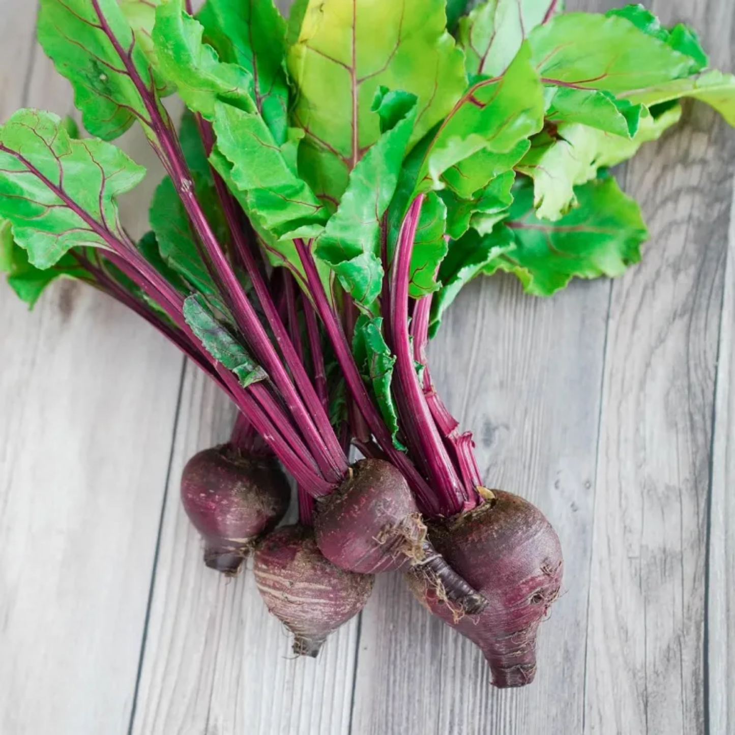 Beetroot Seeds - 50 Seeds