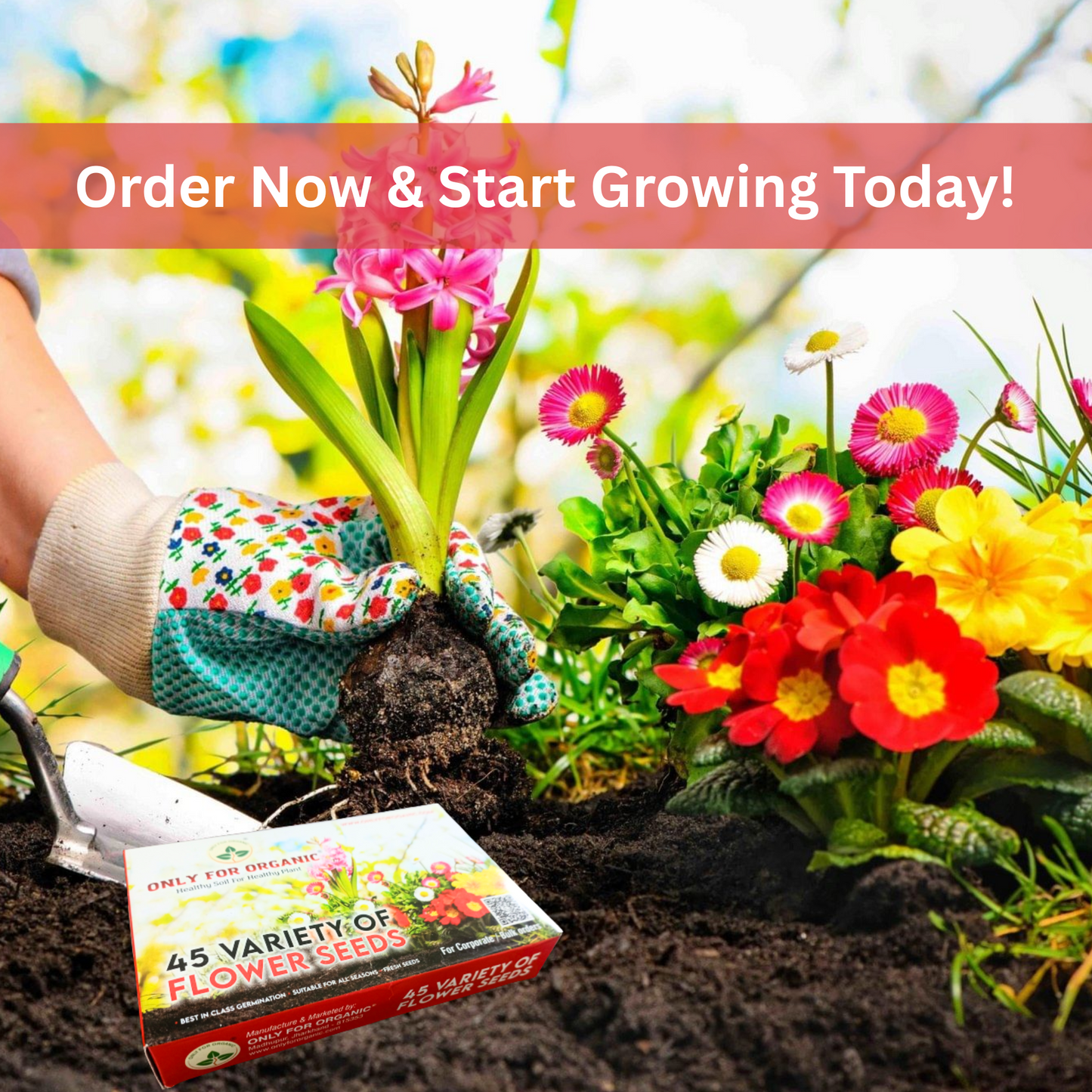 45 Variety of Flower Seeds with Instruction Manual