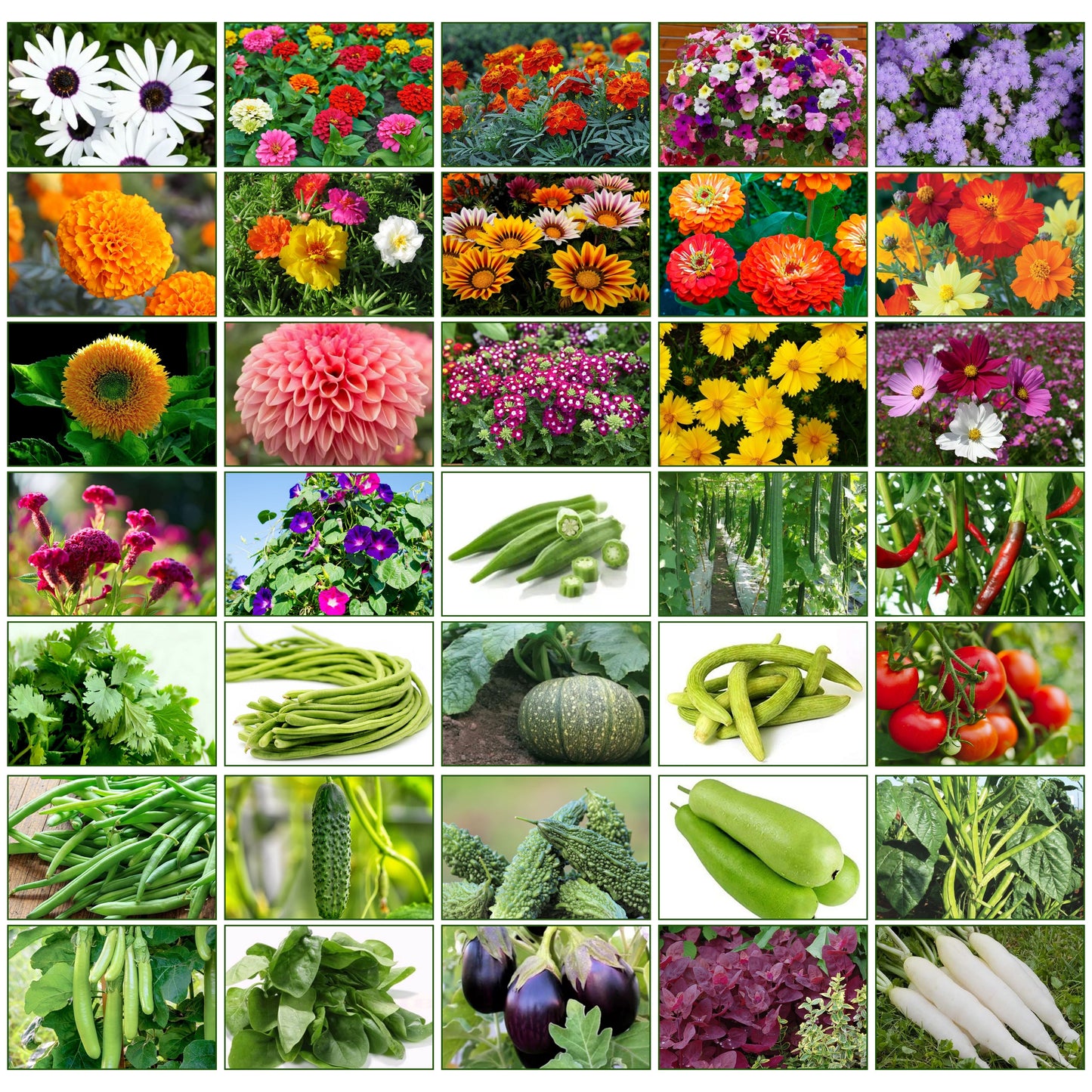 Mix Combo Pack of Vegetable & Flower Seeds | Perfect for Your Home Garden