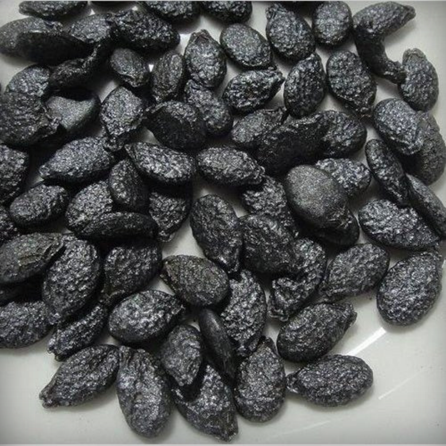 Ridge Gourd Seeds - 20 Seeds