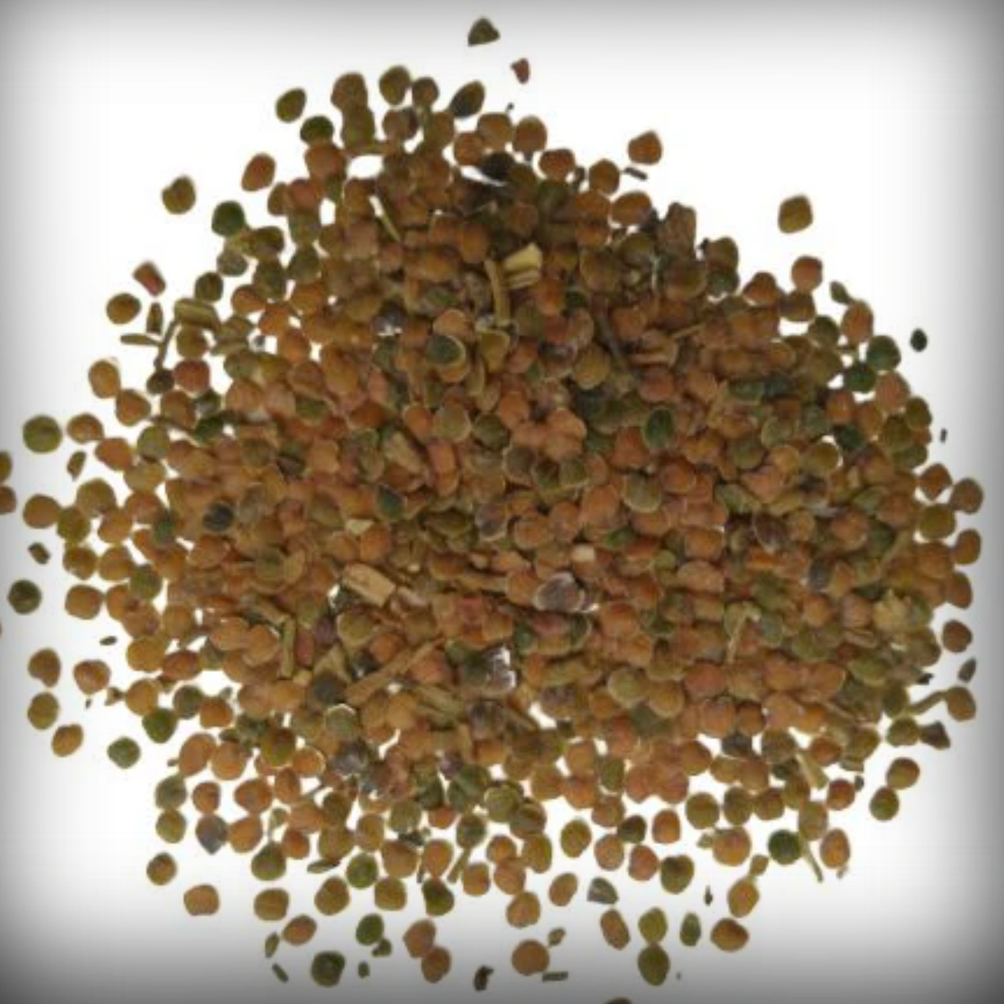 Stock Seeds - 50 Seeds