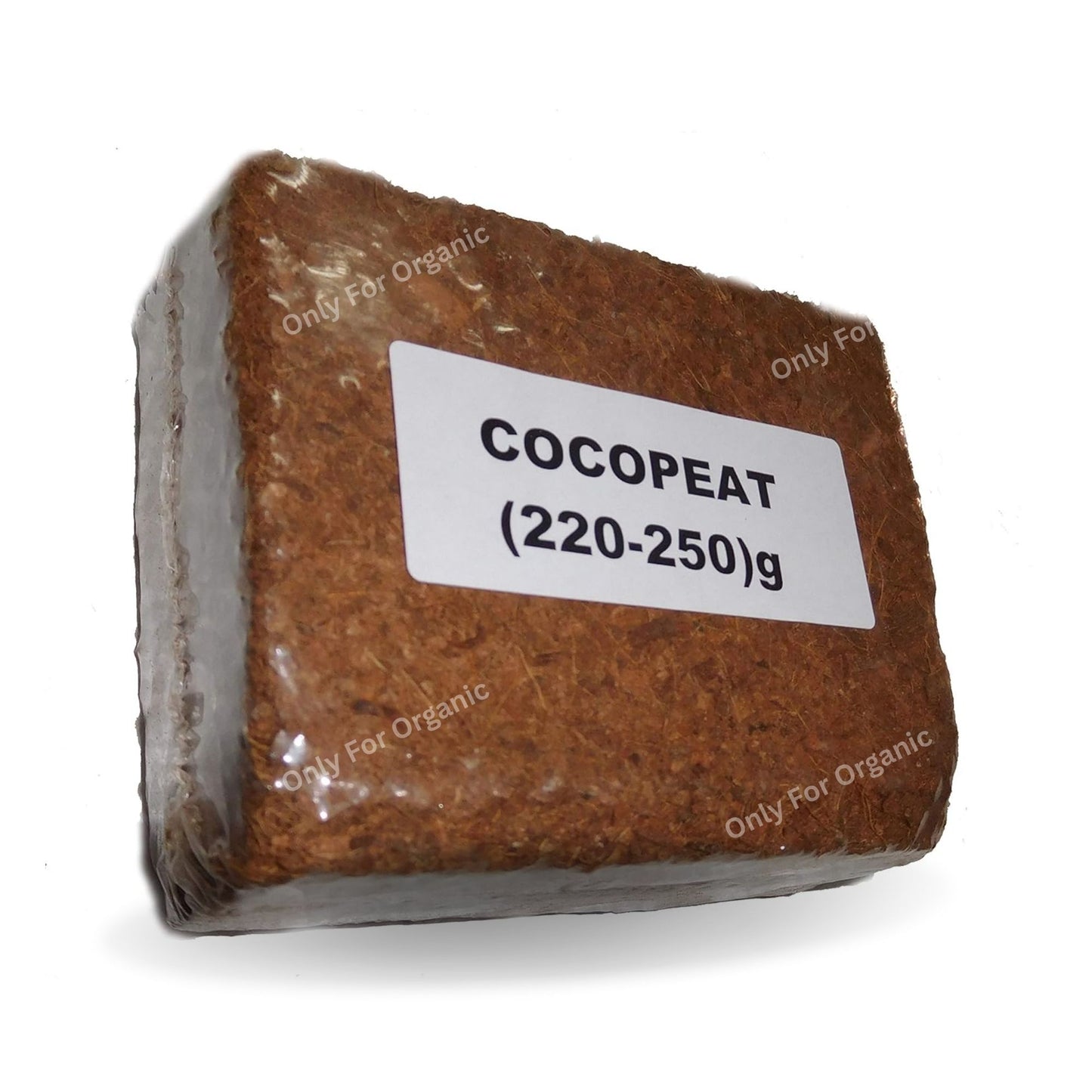 30 Variety 5000 Flower Seeds with Cocopeat Block and Instruction Manual