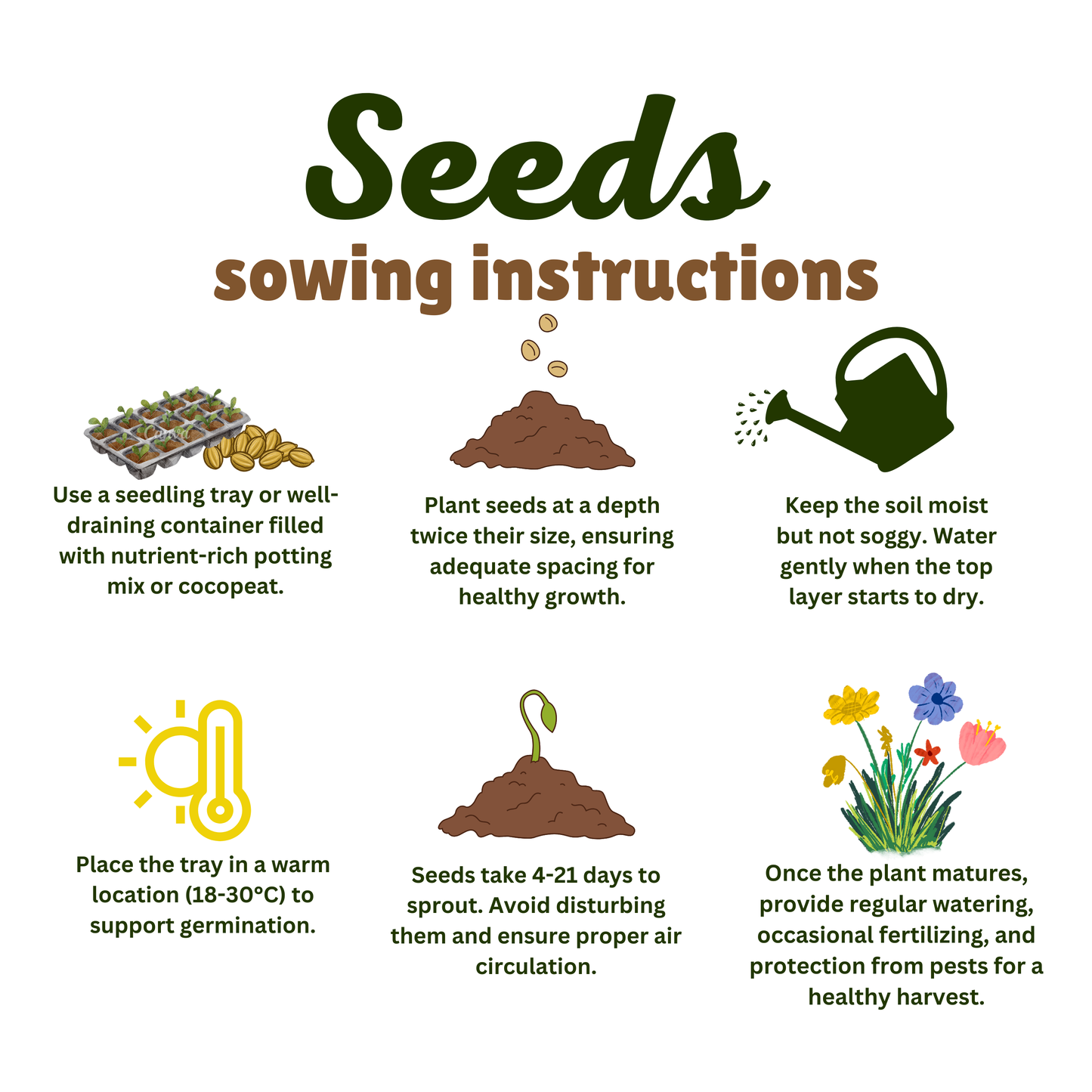 Cockscomb Seeds - 50 Seeds