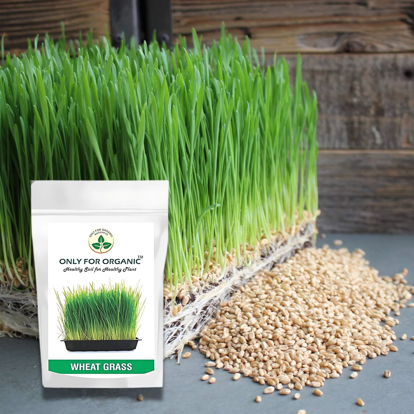 Wheat Grass Seeds - 900 Gms
