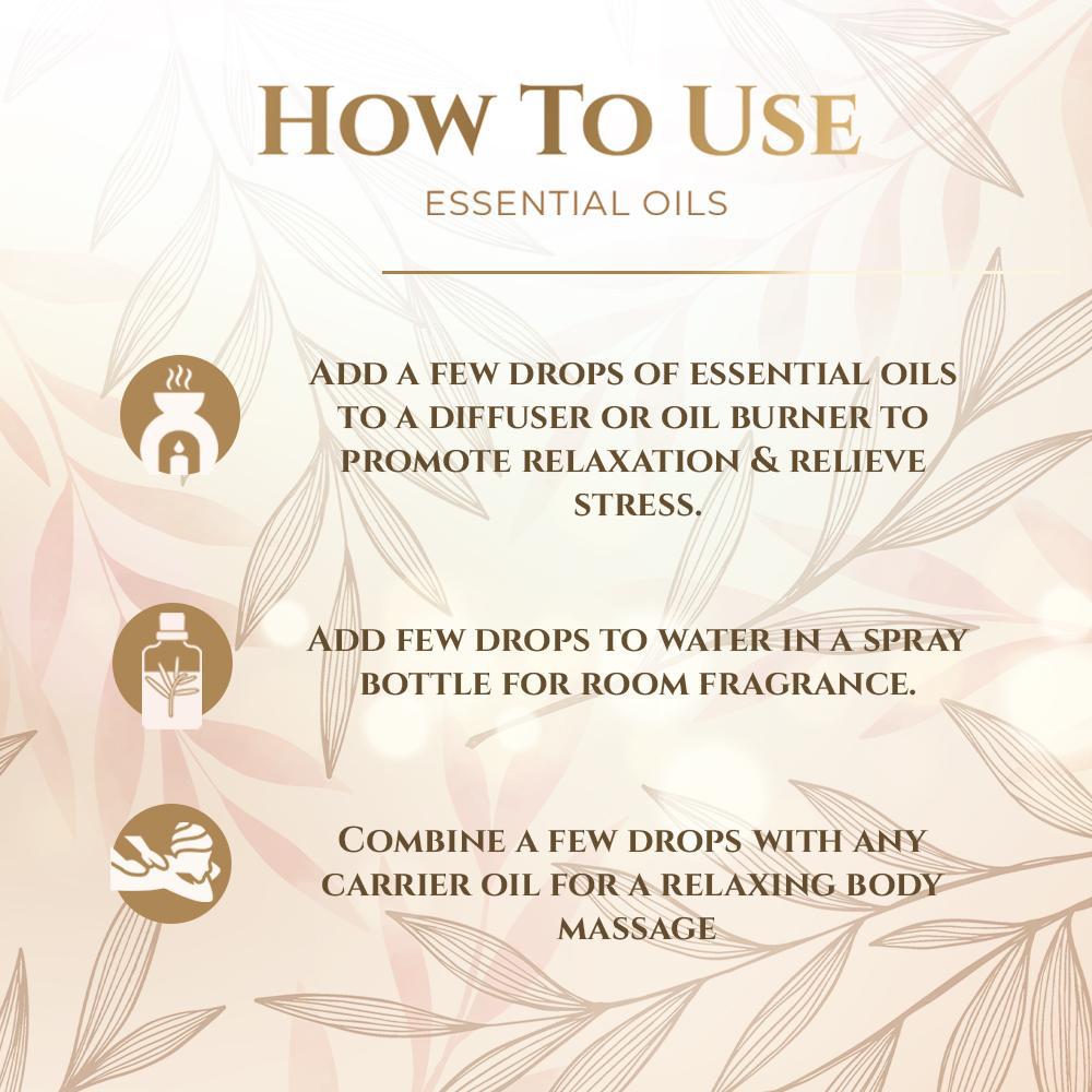 Essential Oils Combo pack of 10, Each 10ml | For Diffuser, Skin, Hair, Massage, DIY, Home Fragrance |