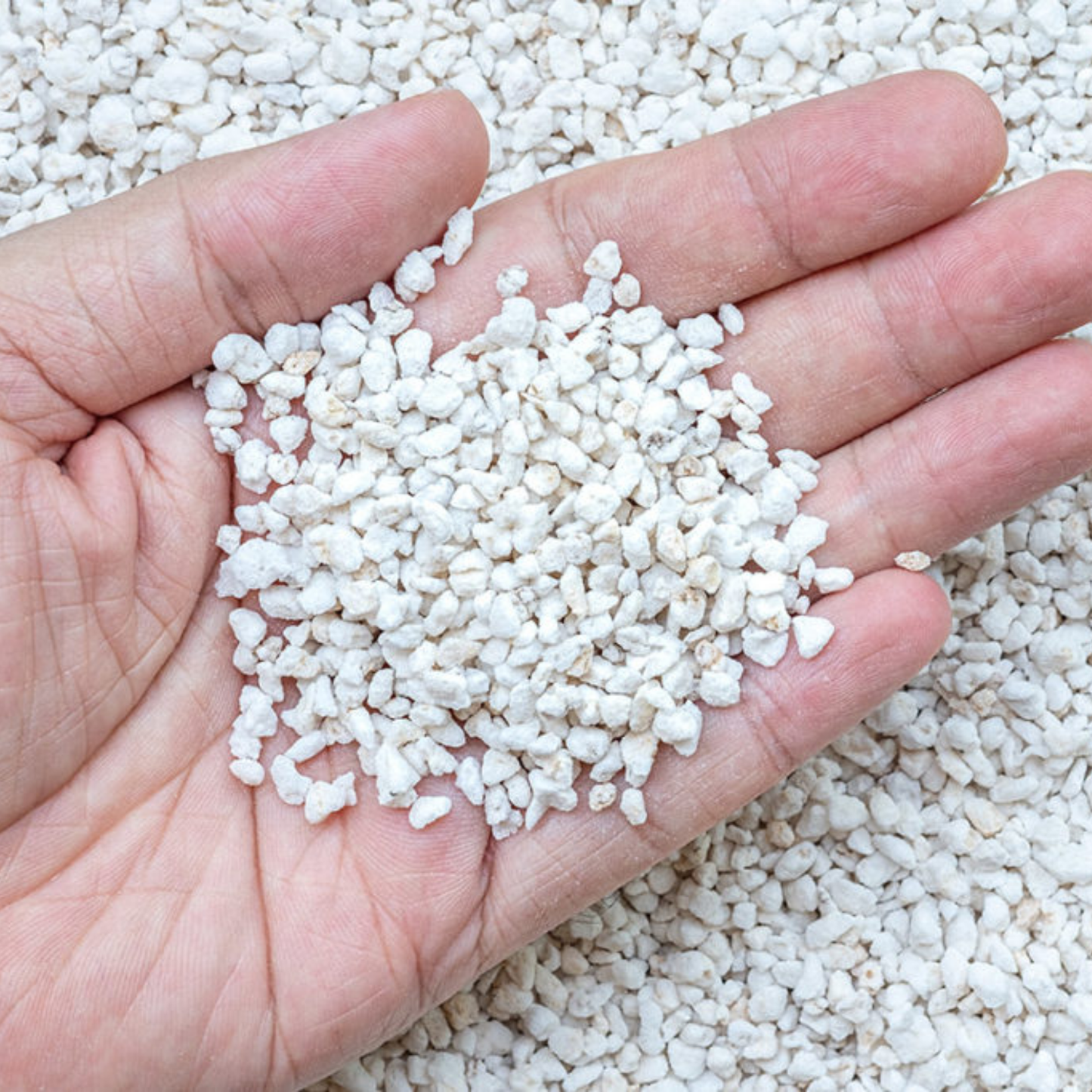 Premium Perlite for Gardening – Lightweight,Improves Drainage & Root Growth – Ideal for Potting Mix