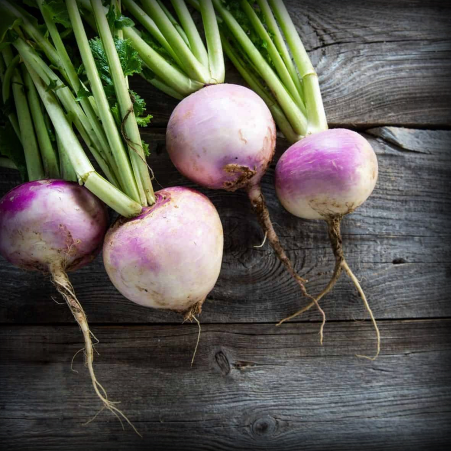 Turnip Seeds - 50 Seeds