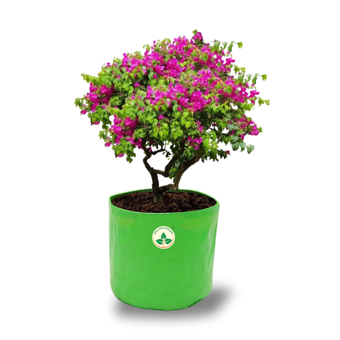 HDPE UV Treated Green Grow Bags (Size-20x20 inch) for Home/Commercial Gardening