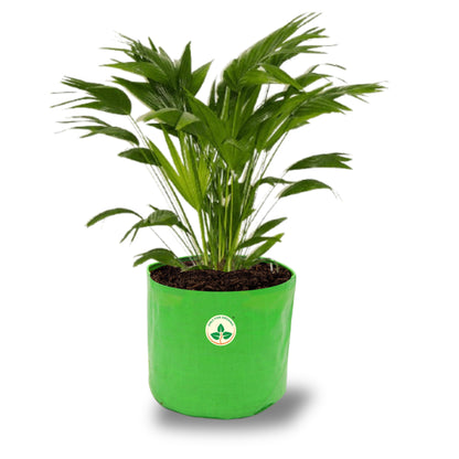 HDPE UV Treated Green Grow Bags (Size-18x18 inch) for Home/Commercial Gardening