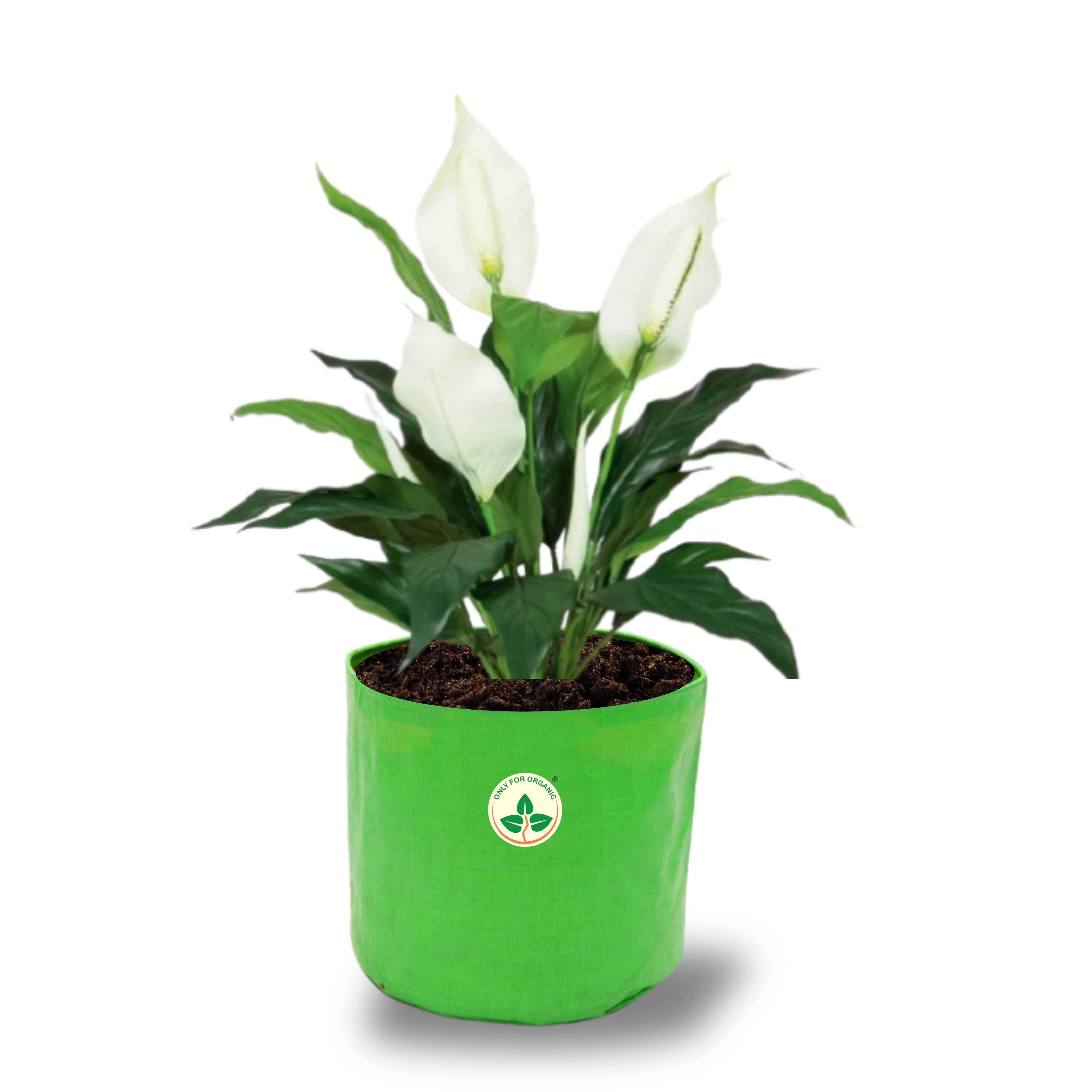 HDPE UV Treated Green Grow Bags (Size-9x9 inch) for Home/Commercial Gardening