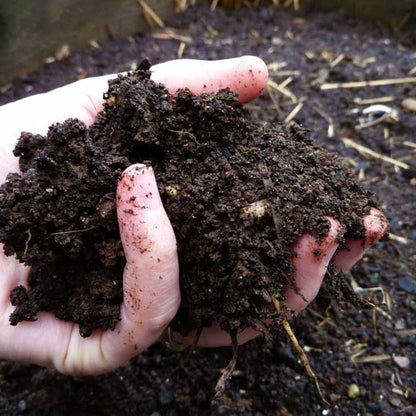 Organic Cow Dung Cake - Enhances Soil Fertility & Acts as a Natural Fuel