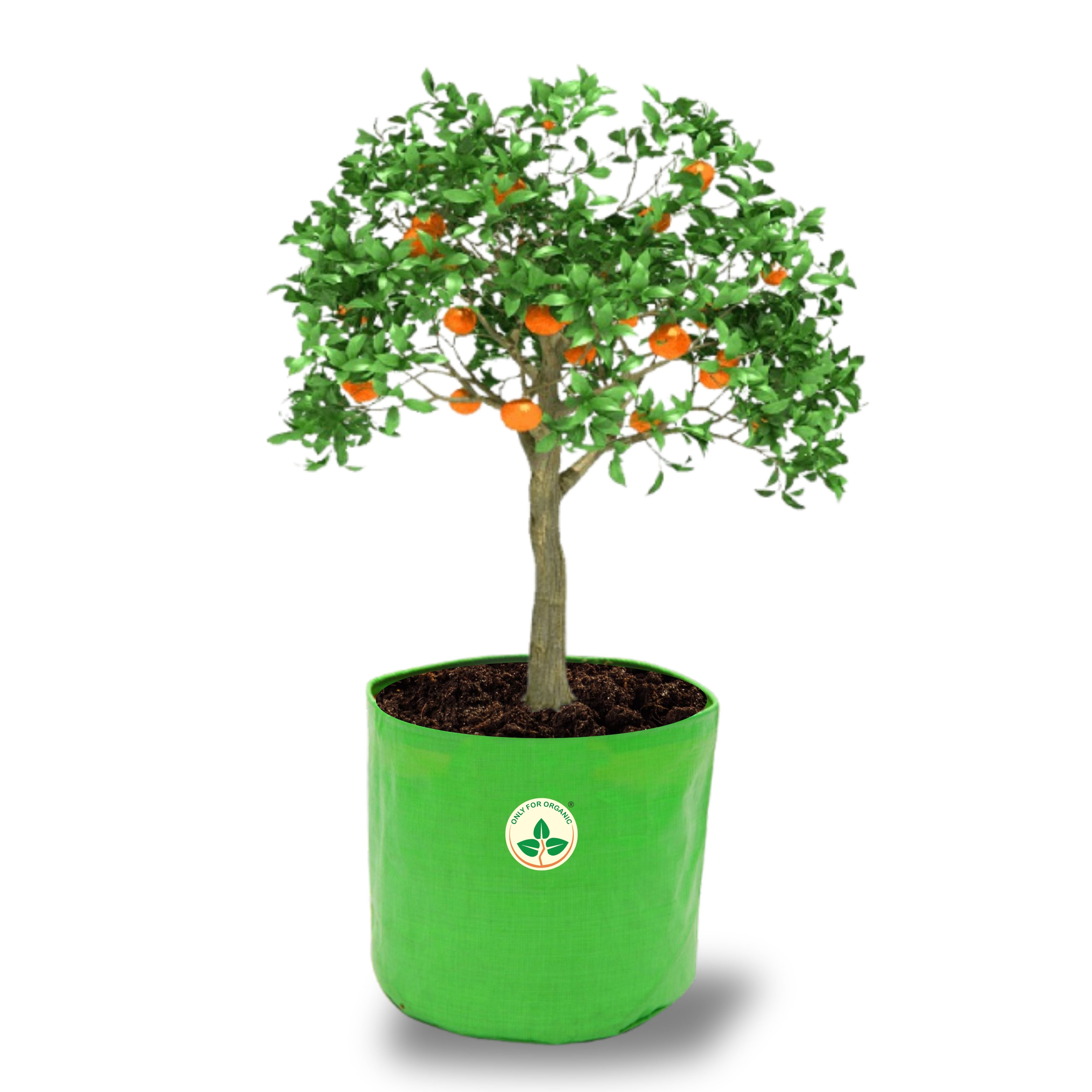 HDPE UV Treated Green Grow Bags (Size-24x24 inch) for Home/Commercial Gardening