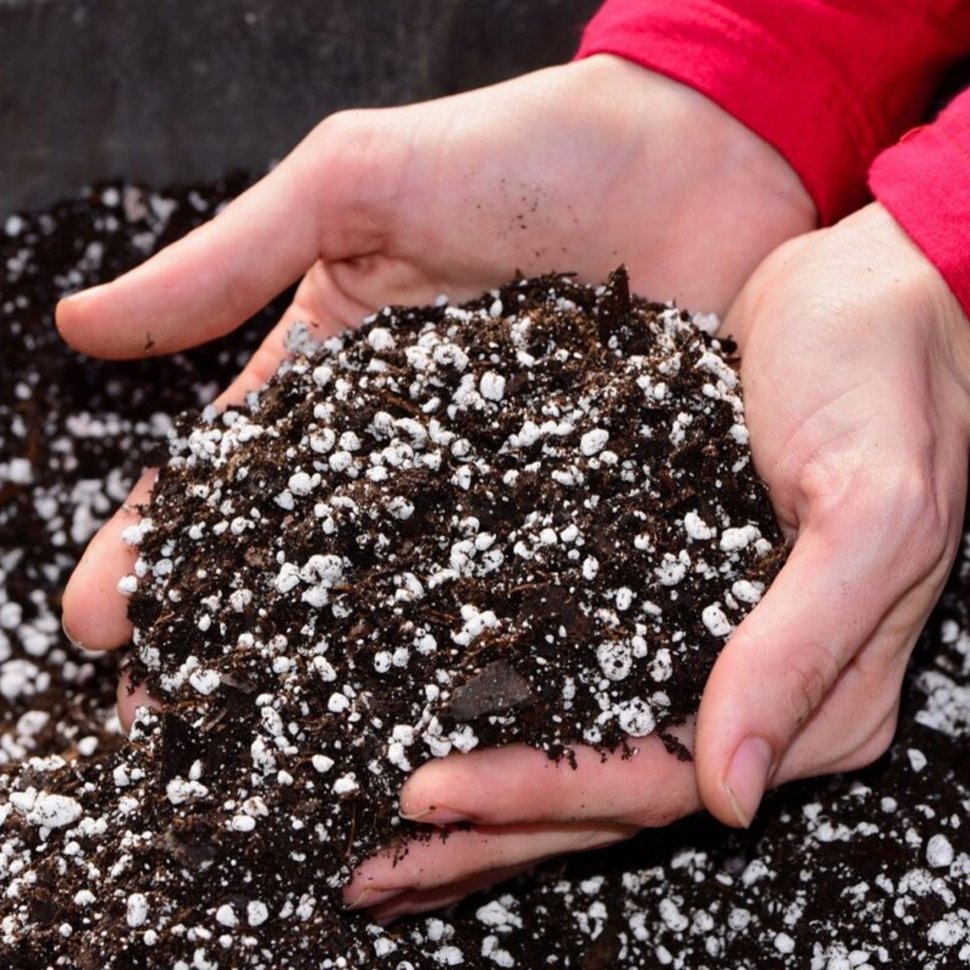 Premium Potting Mix – Ready-to-Use Soil Blend for Healthy Plant Growth