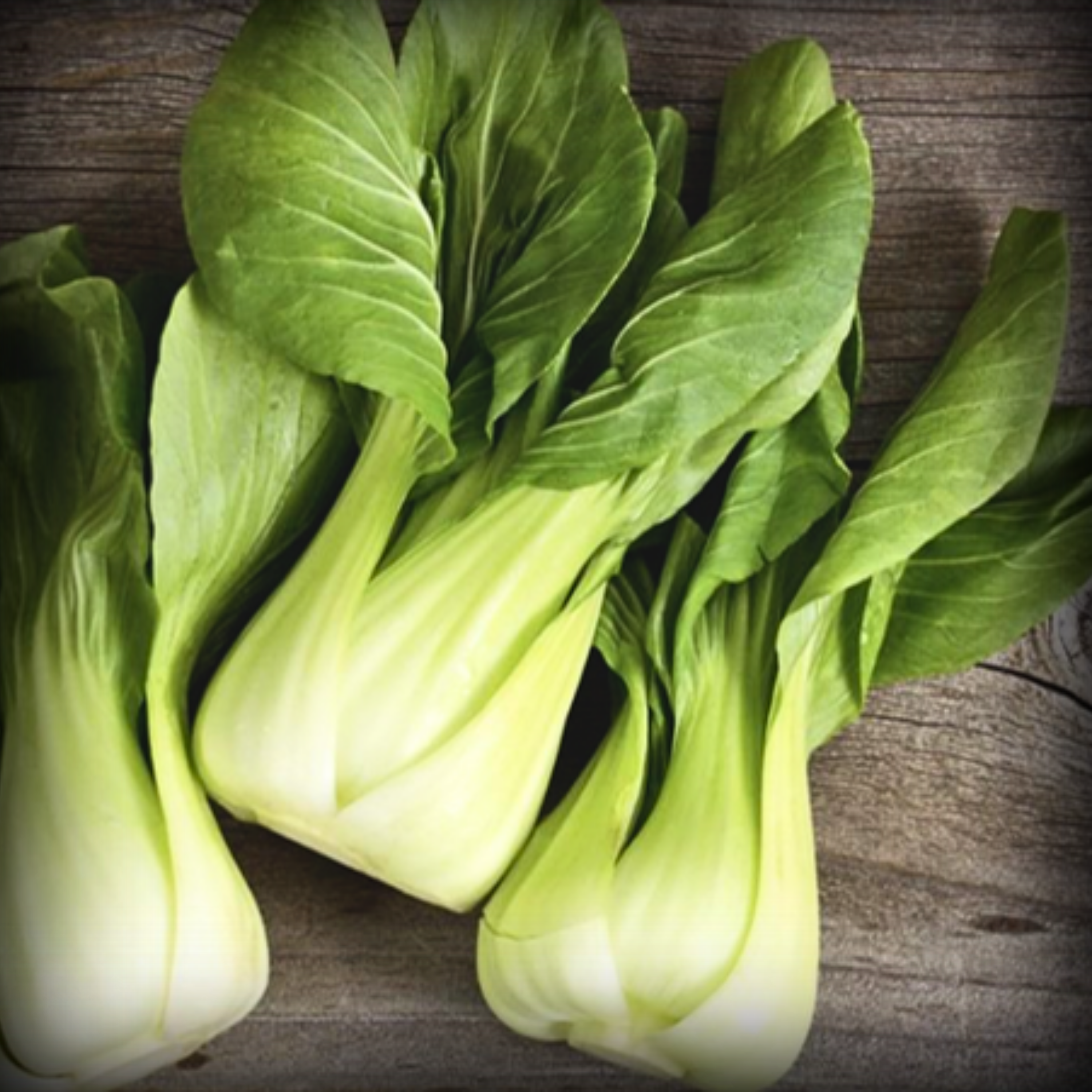 Hybrid Pak Choi Seeds - 20 Seeds