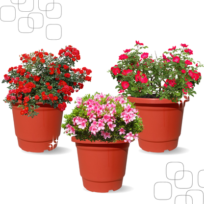 Plastic Pot/Gamla Round 10 Inch - for Indoor Home Decor & Outdoor Balcony Garden