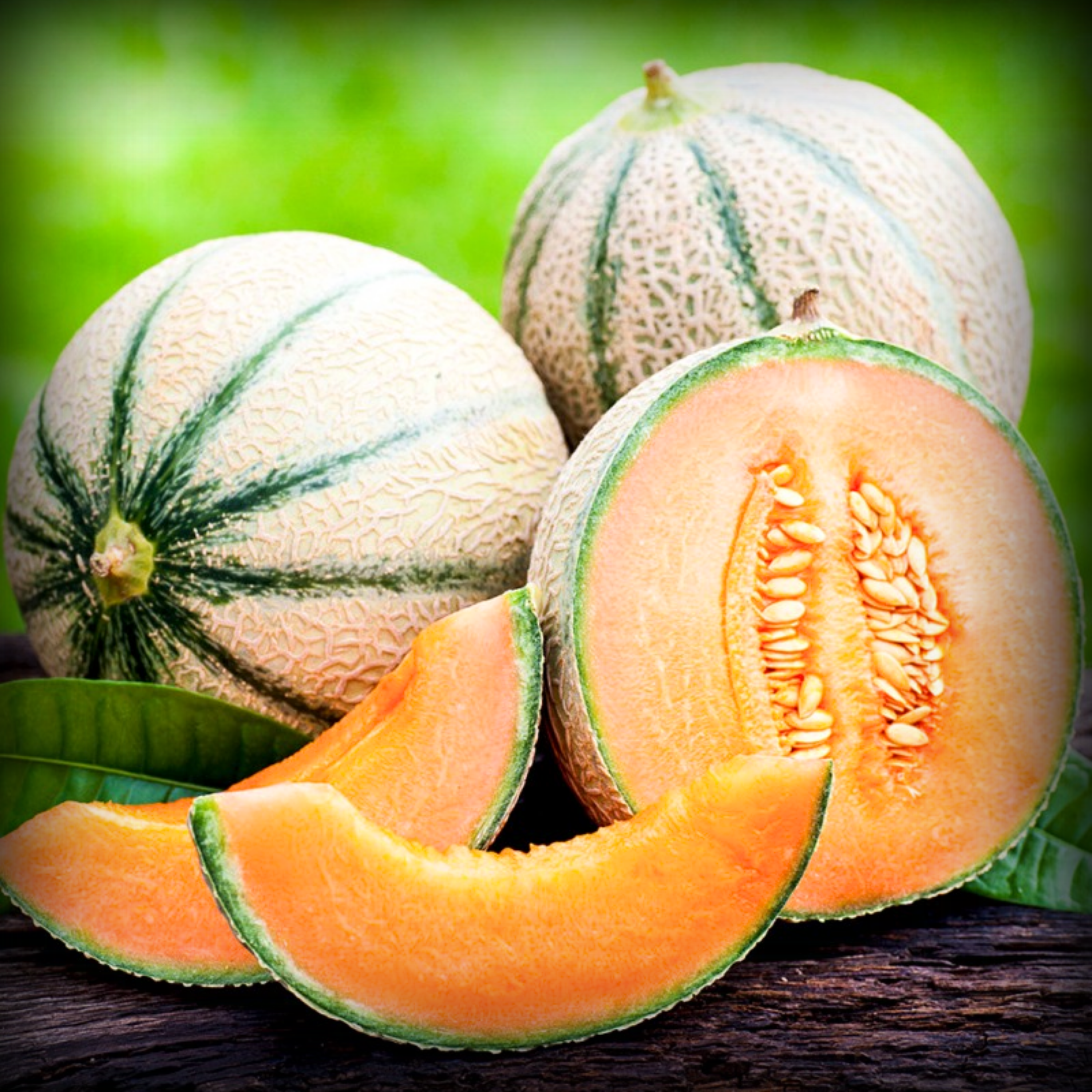 Muskmelon Seeds - 20 Seeds