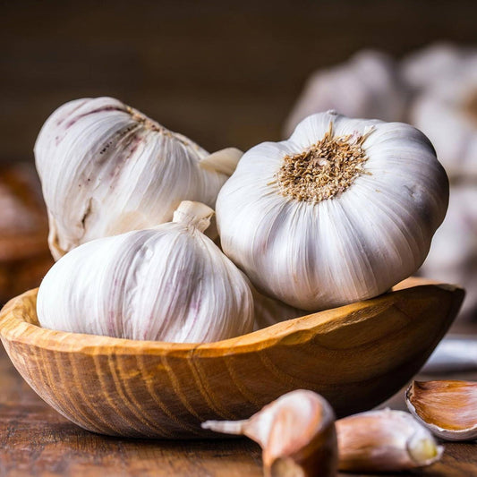 Garlic Bulbs For Planting & Growing