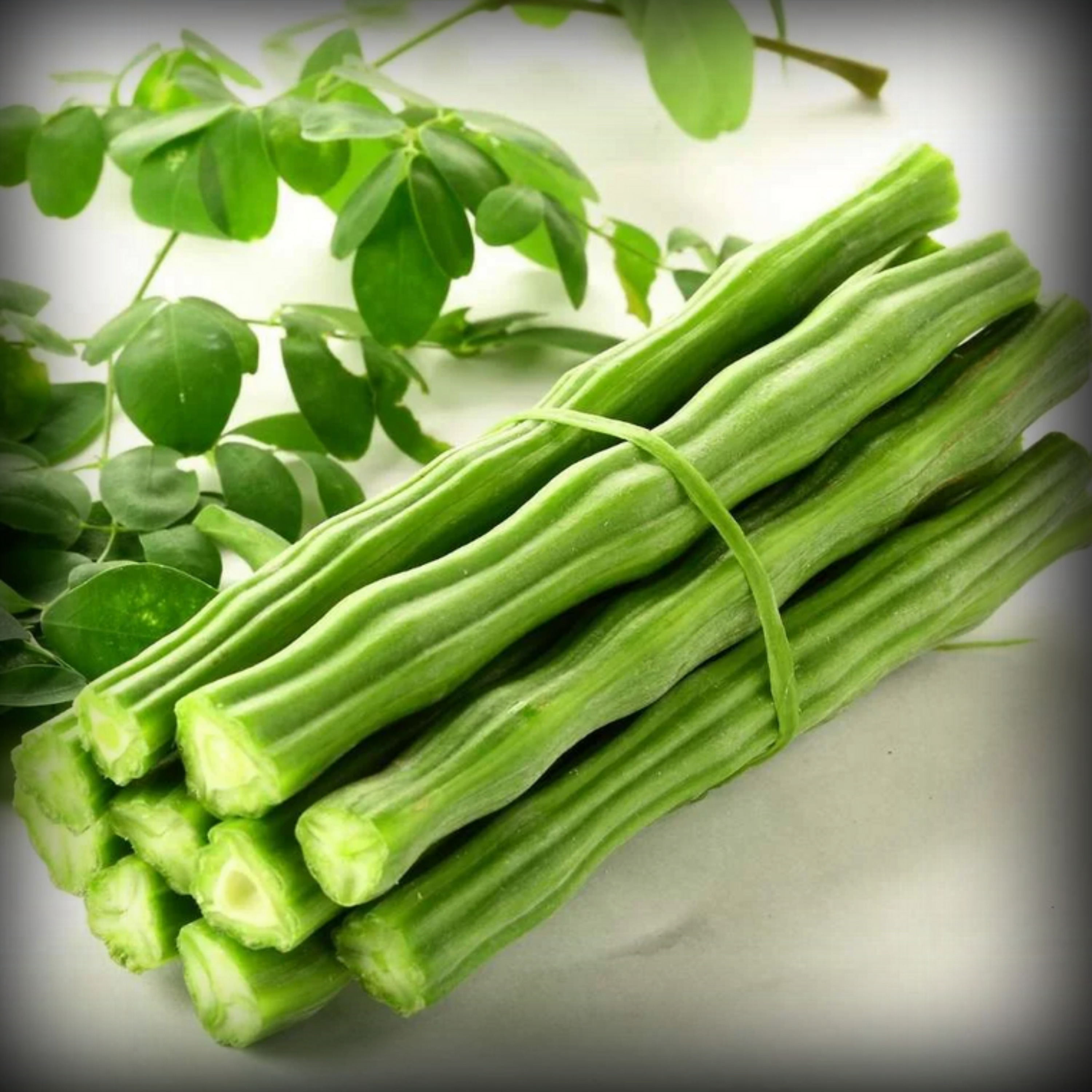 Drum Stick Seeds - 10 Seeds