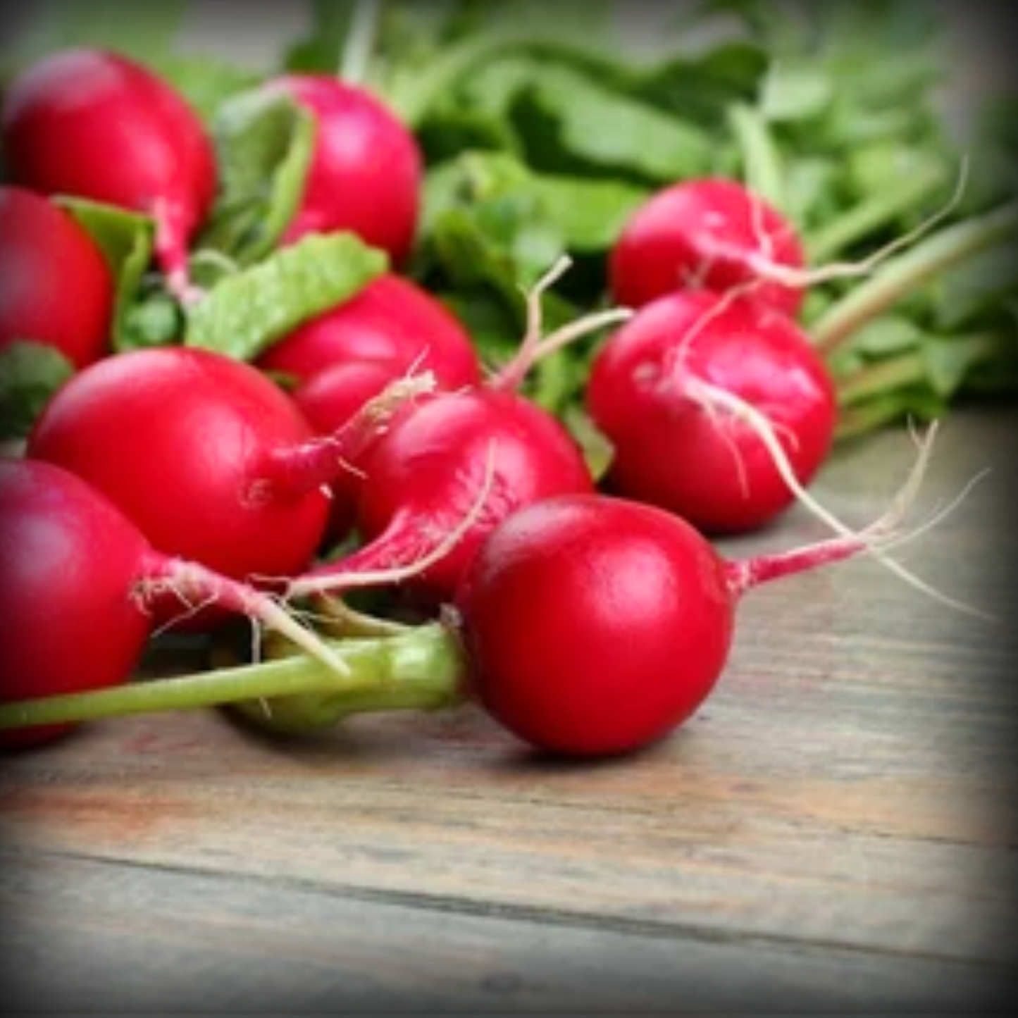 Radish Scarlet Globe Seeds - 200 Seeds