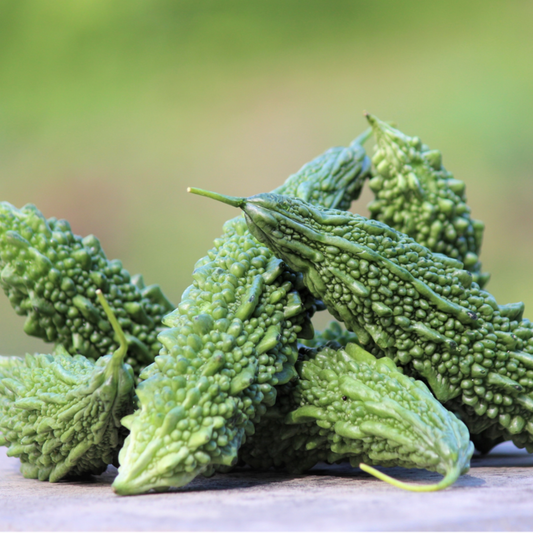 Bitter Gourd Seeds - 20 Seeds
