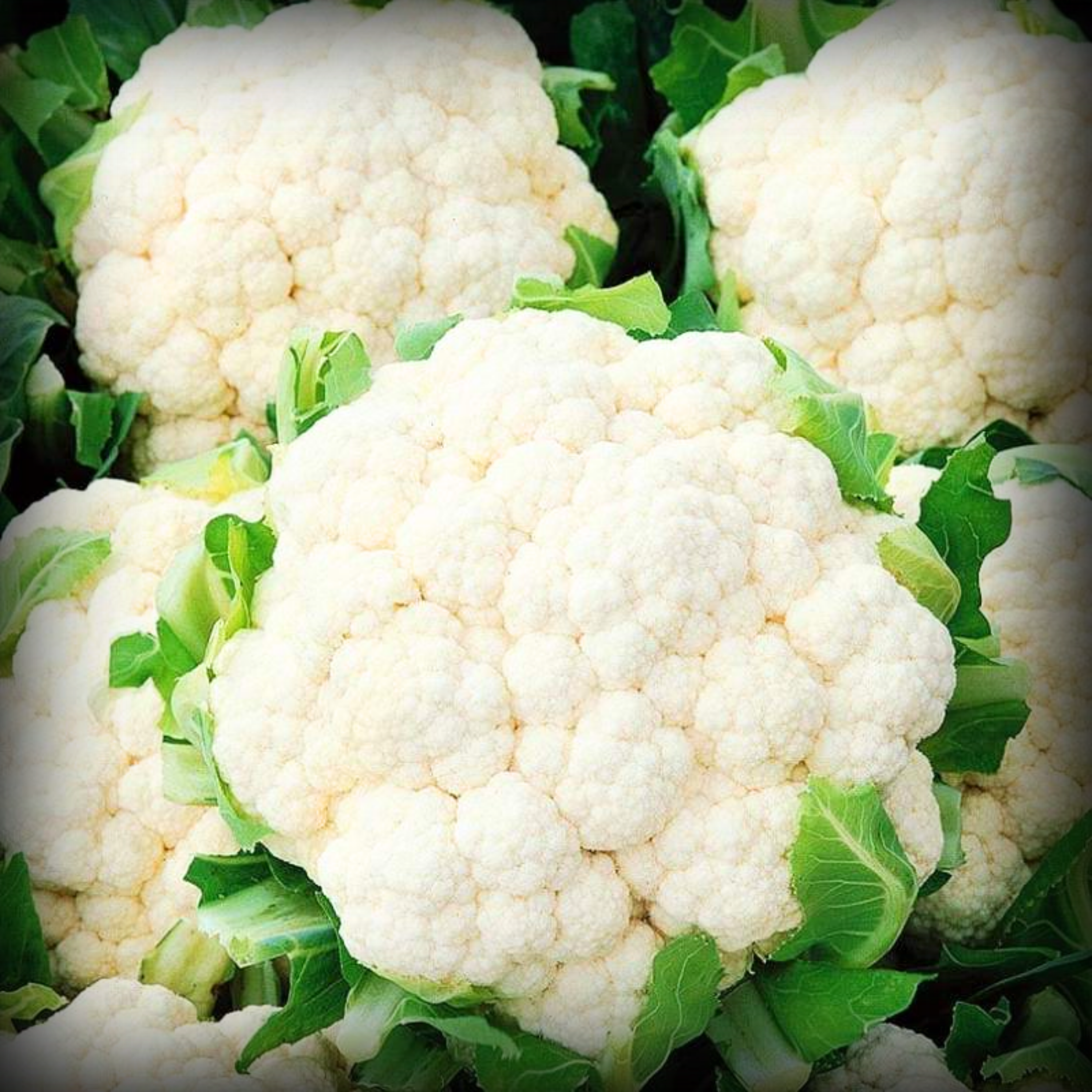 Cauliflower Seeds - 50 Seeds