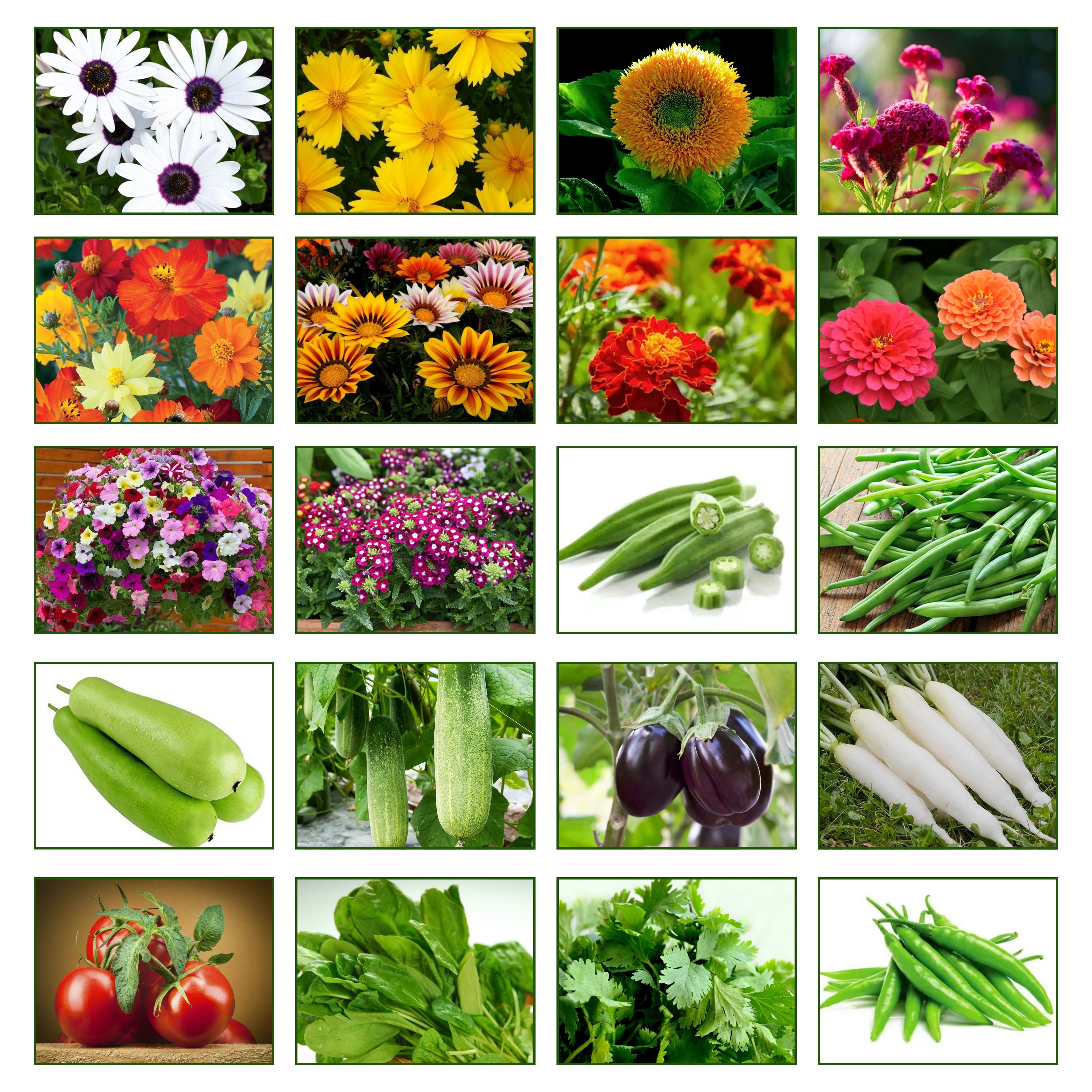 Mix Combo Pack of Vegetable & Flower Seeds | Perfect for Your Home Garden