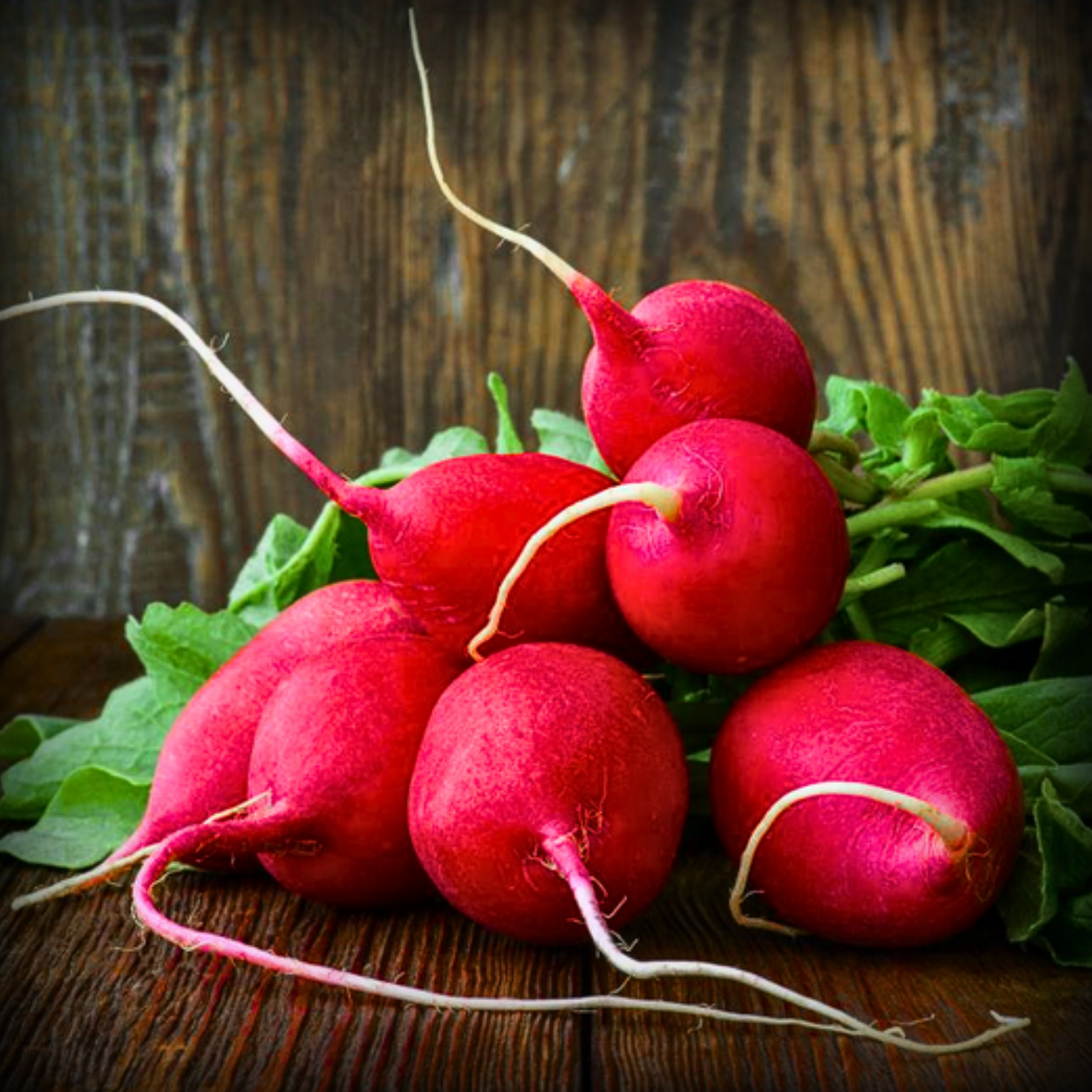 Hybrid Radish Scarlet Globe Seeds - 50 Seeds