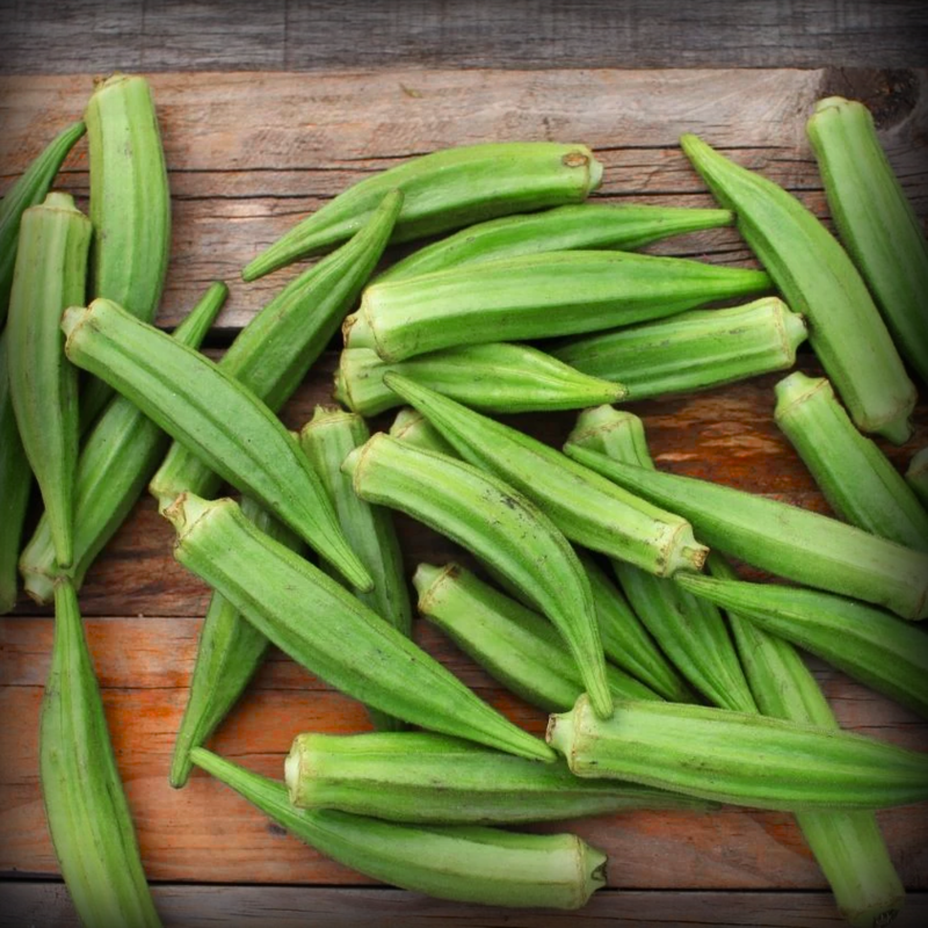 Hybrid Lady Finger Seeds - 25 Seeds