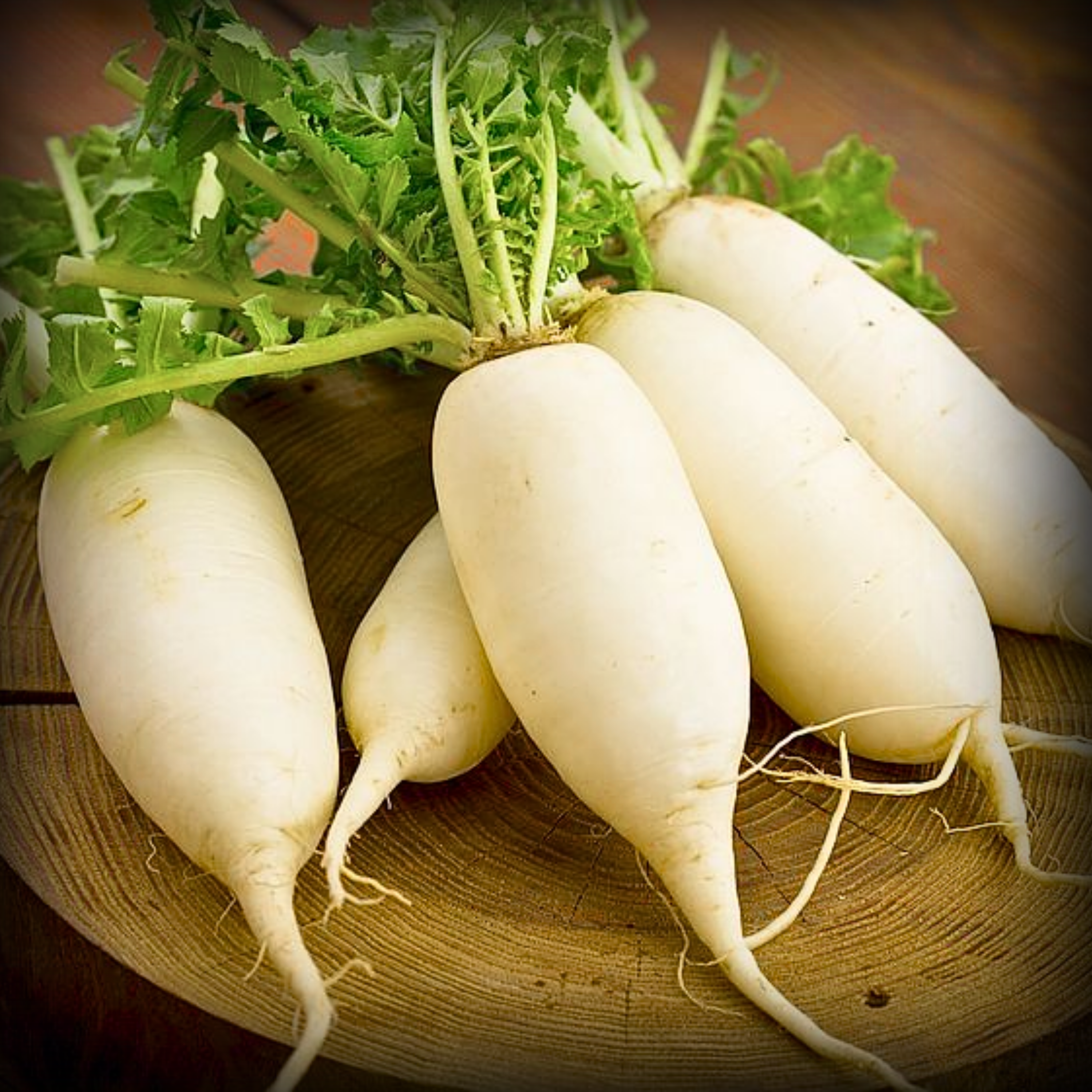 Hybrid Radish White Seeds - 100 Seeds