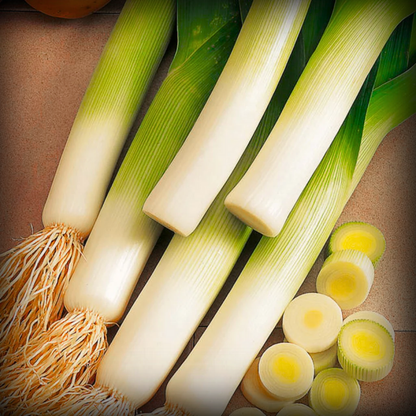 Hybrid Leek Seeds - 20 Seeds