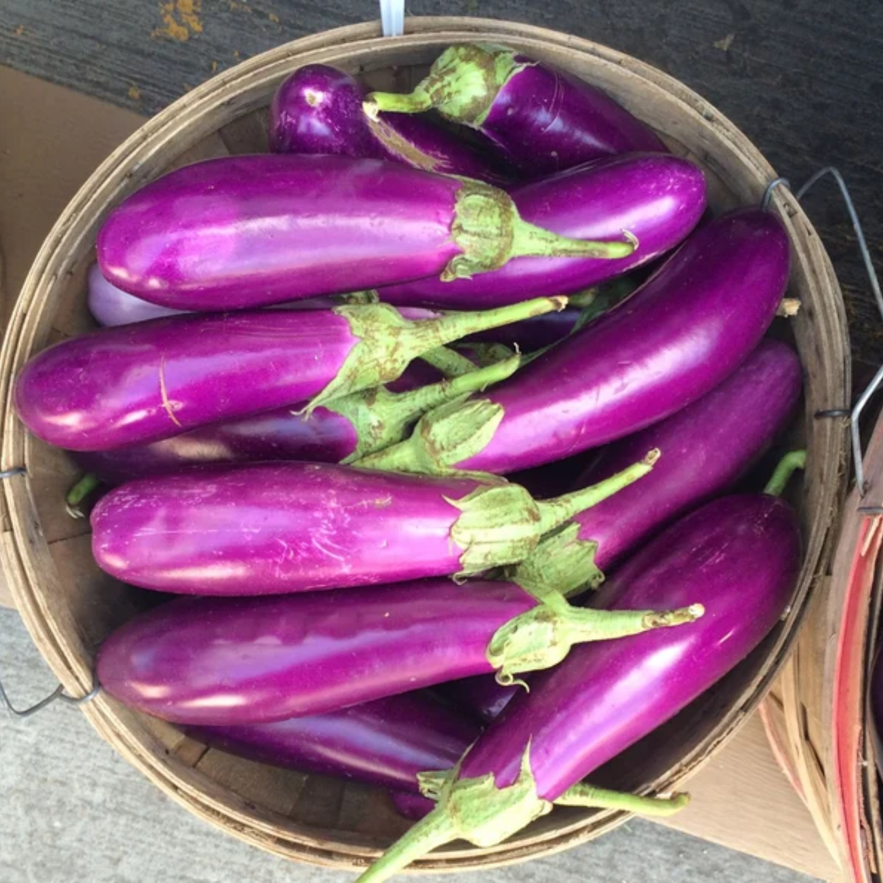 Brinjal Purple Long Seeds - 50 Seeds