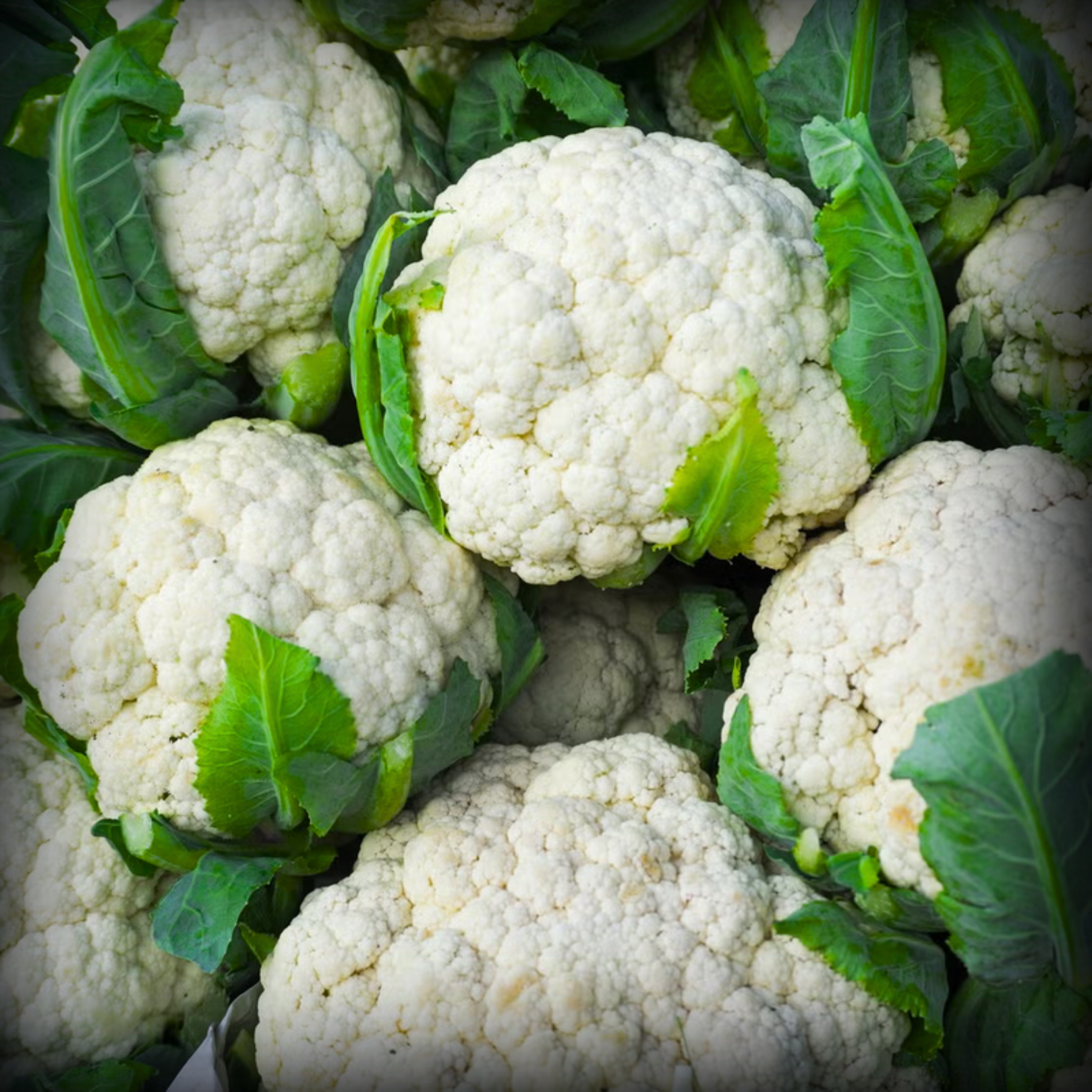 Hybrid Cauliflower Seeds - 25 Seeds