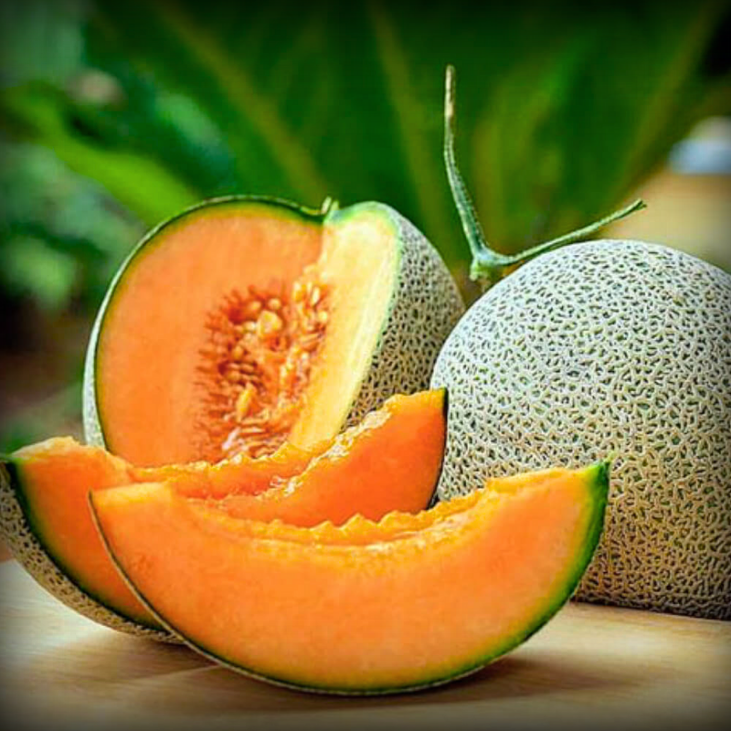 Muskmelon Seeds - 20 Seeds