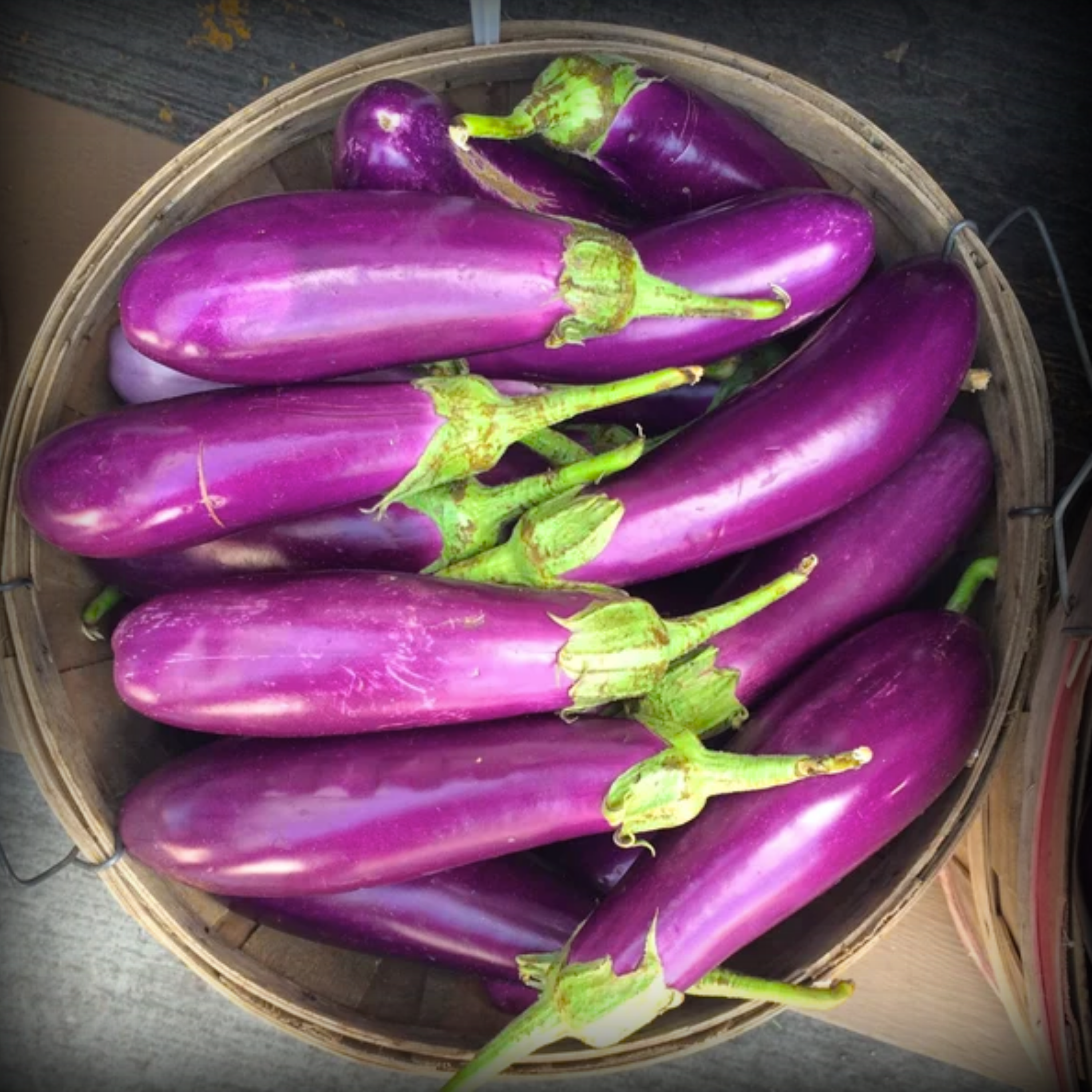 Hybrid Brinjal Purple Long Seeds - 25 Seeds