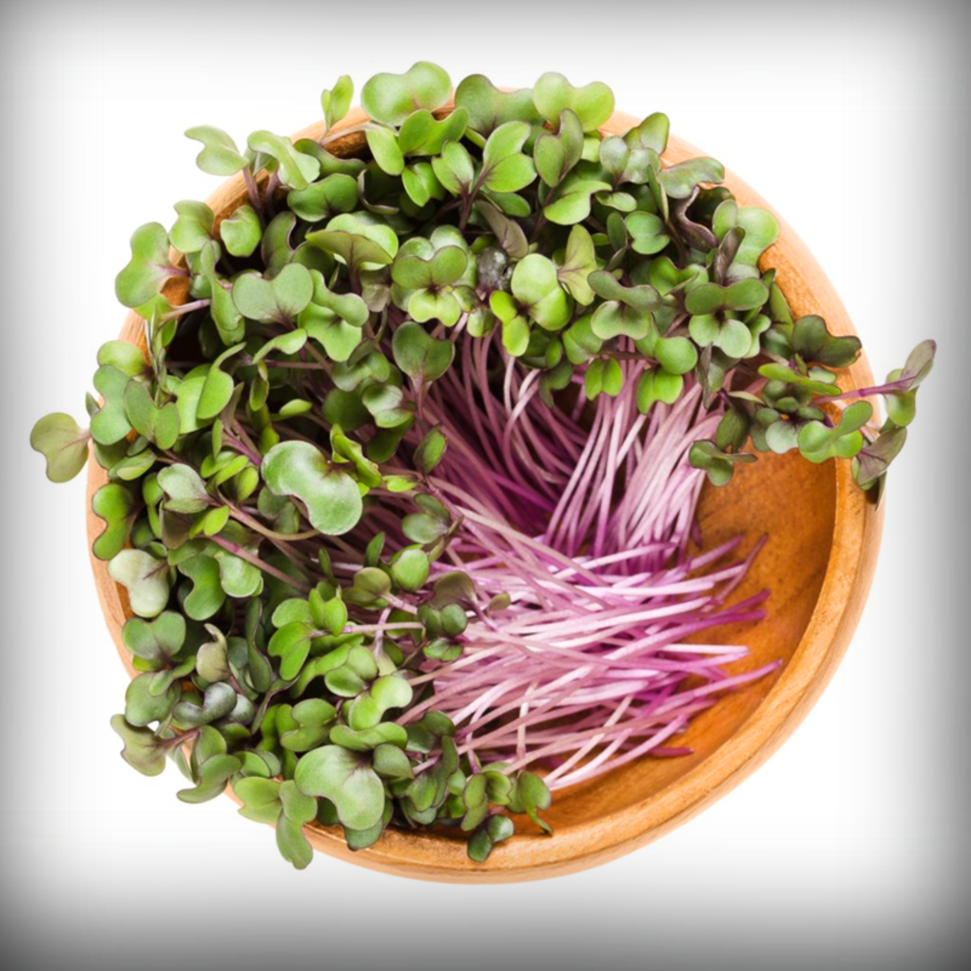 Cabbage Red Microgreen Seeds – 50g