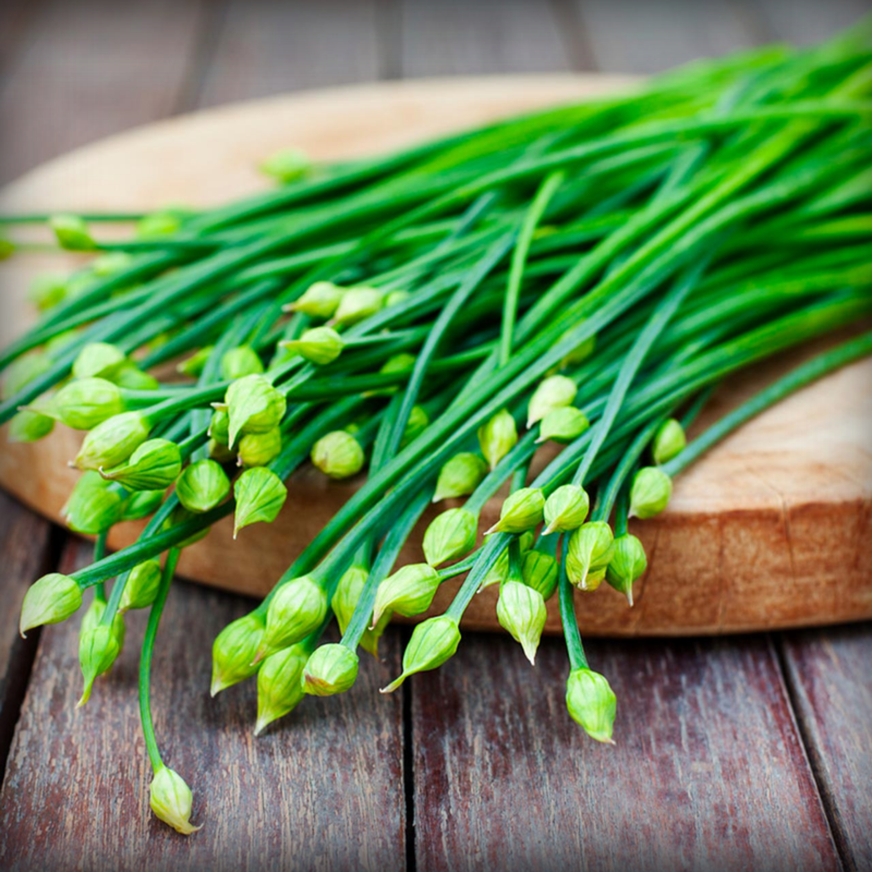 Garlic Chives Seeds - 50 Seeds