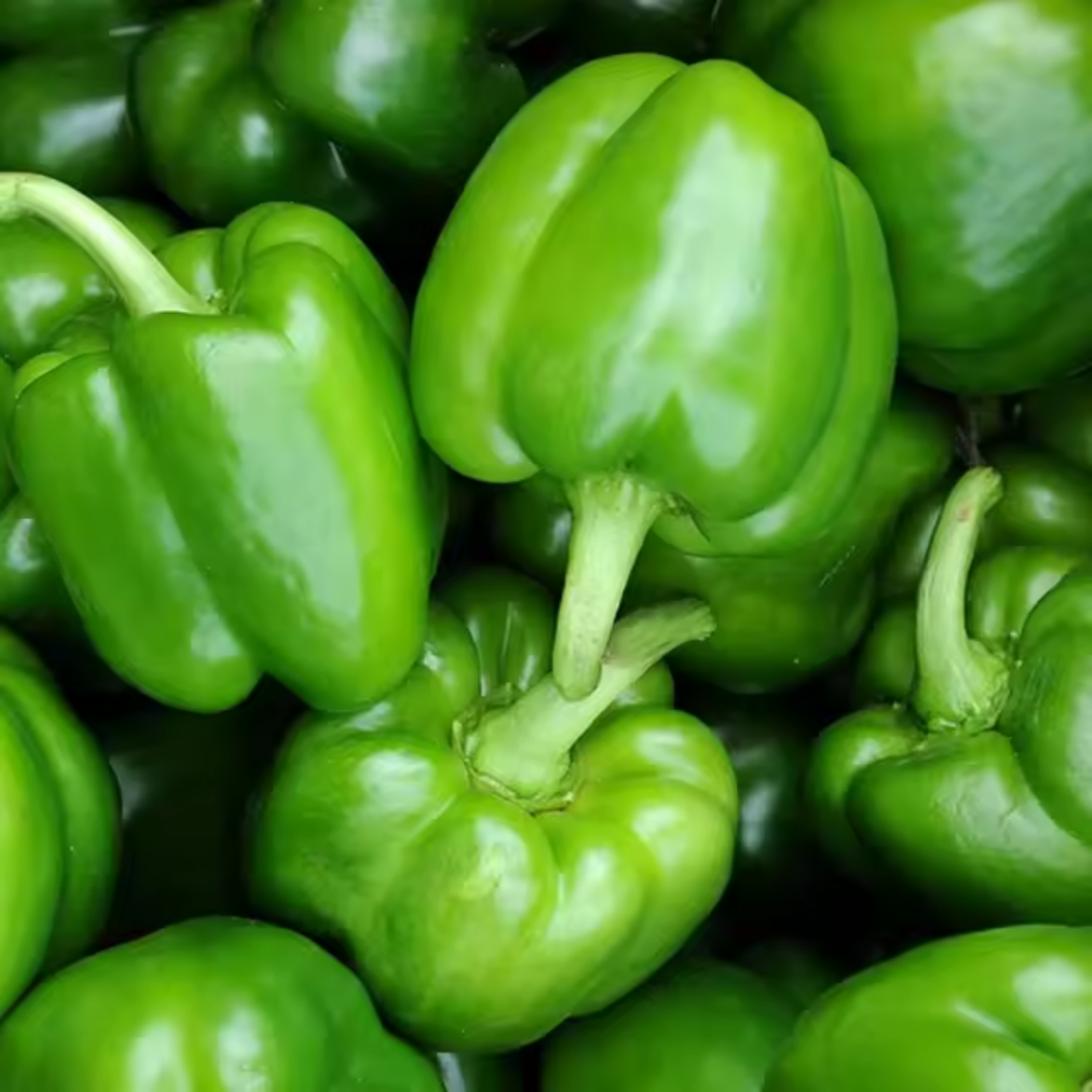 Capsicum Green Seeds - 20 Seeds