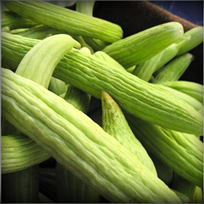 Long Melon Seeds - 20 Seeds