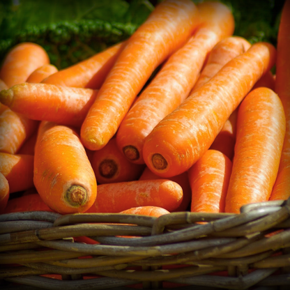 Ooty Carrot Seeds - 200 Seeds