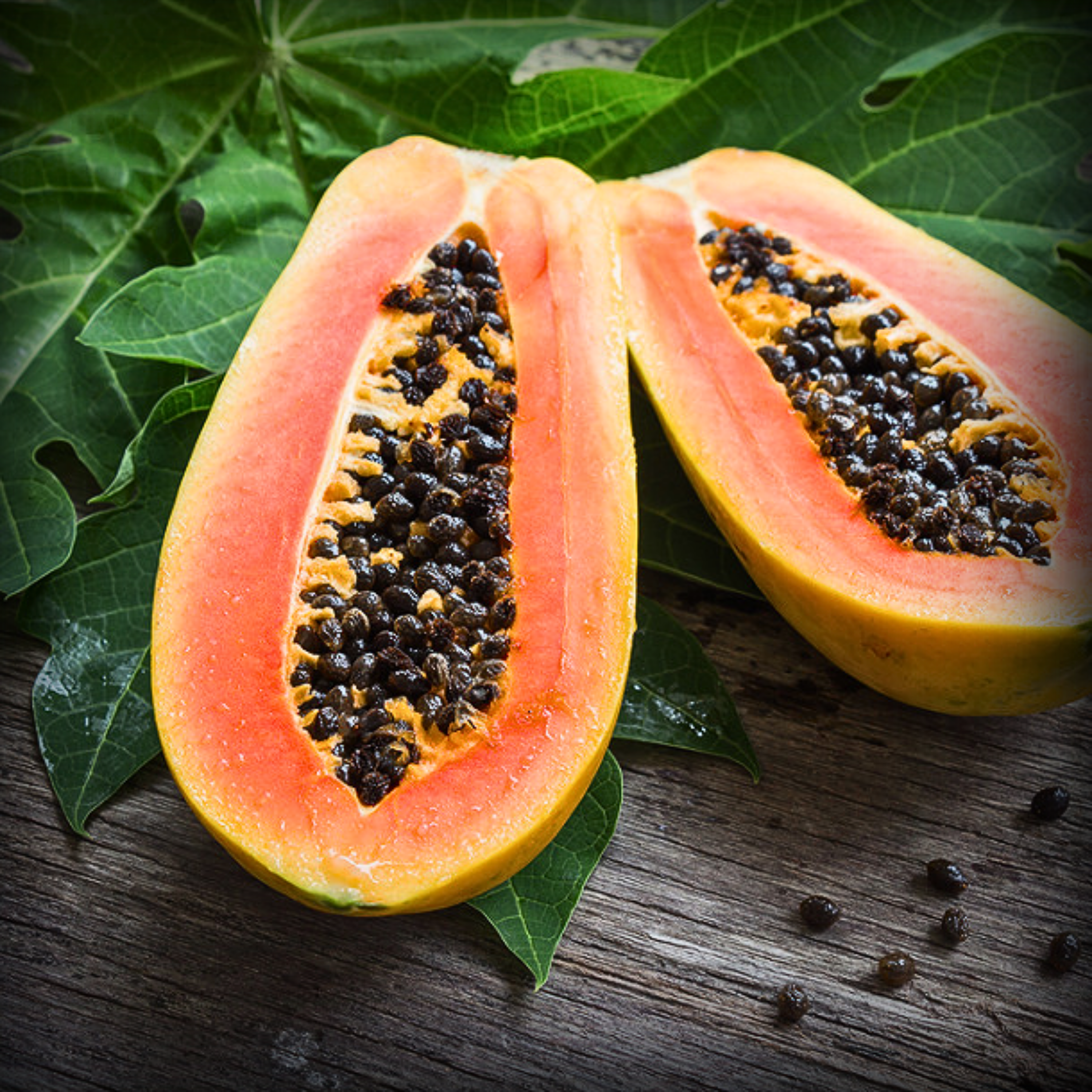 Hybrid Papaya Seeds - 10 Seeds