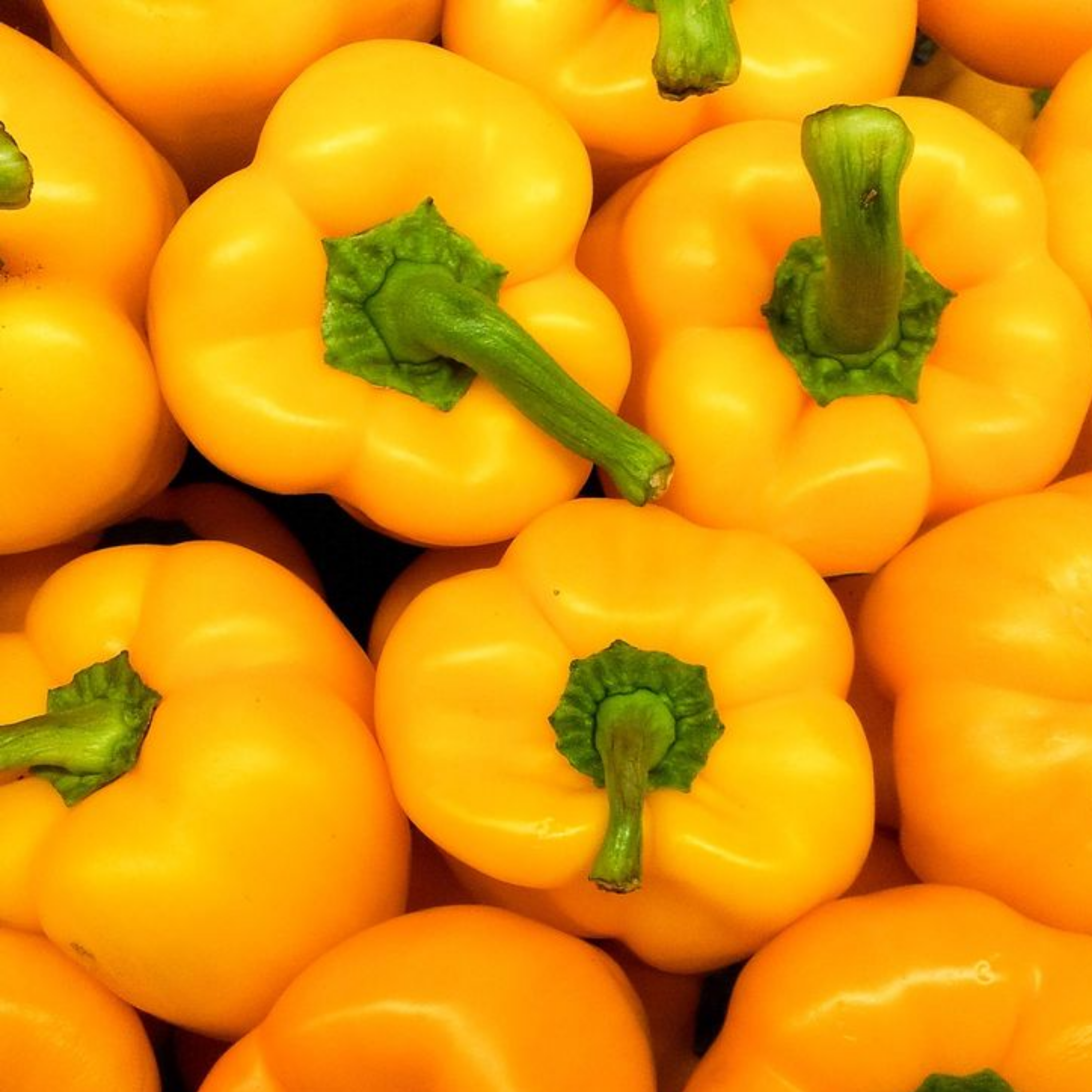 Capsicum yellow Seeds - 20 Seeds
