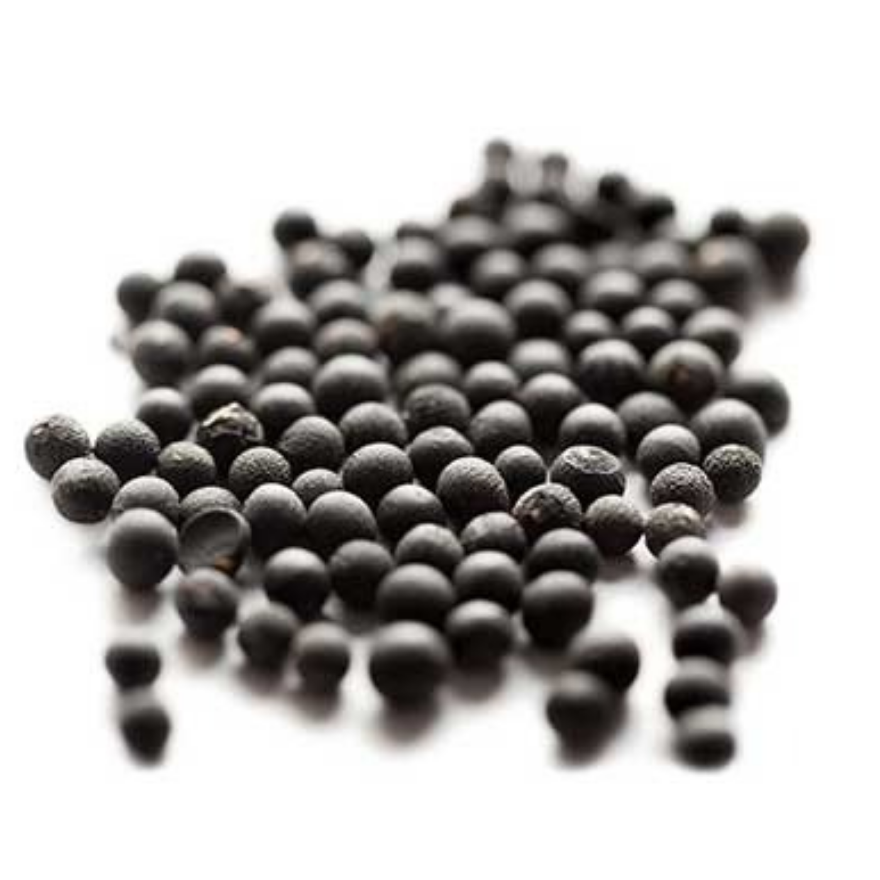 Asparagus Seeds - 20 Seeds