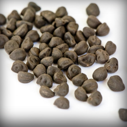 Ipomoea Seeds - 20 Seeds