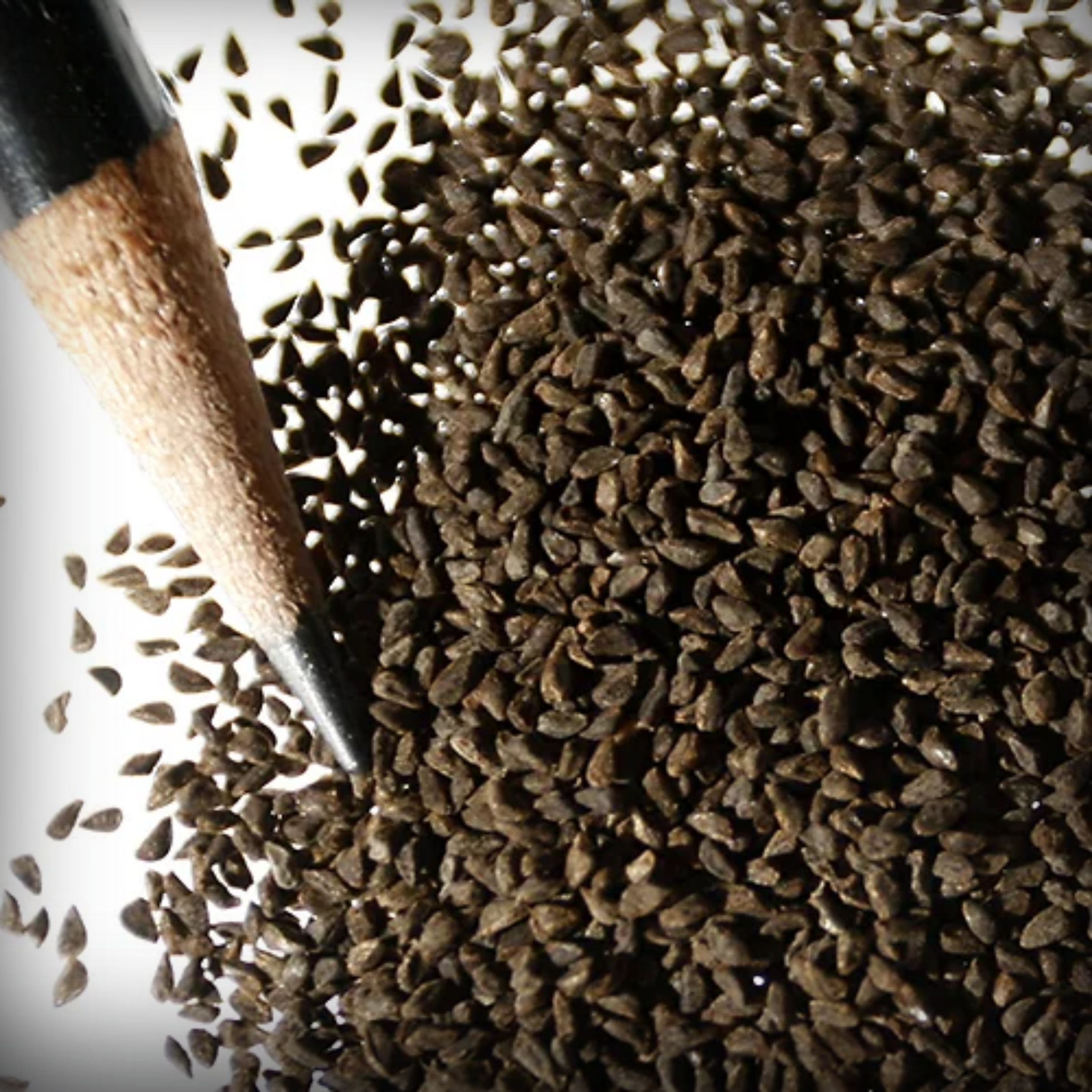 Godetia Seeds - 50 Seeds