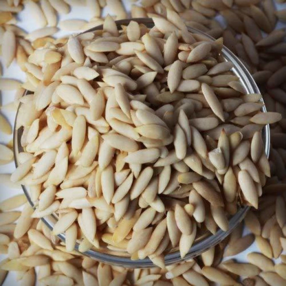 Long Melon Seeds - 20 Seeds