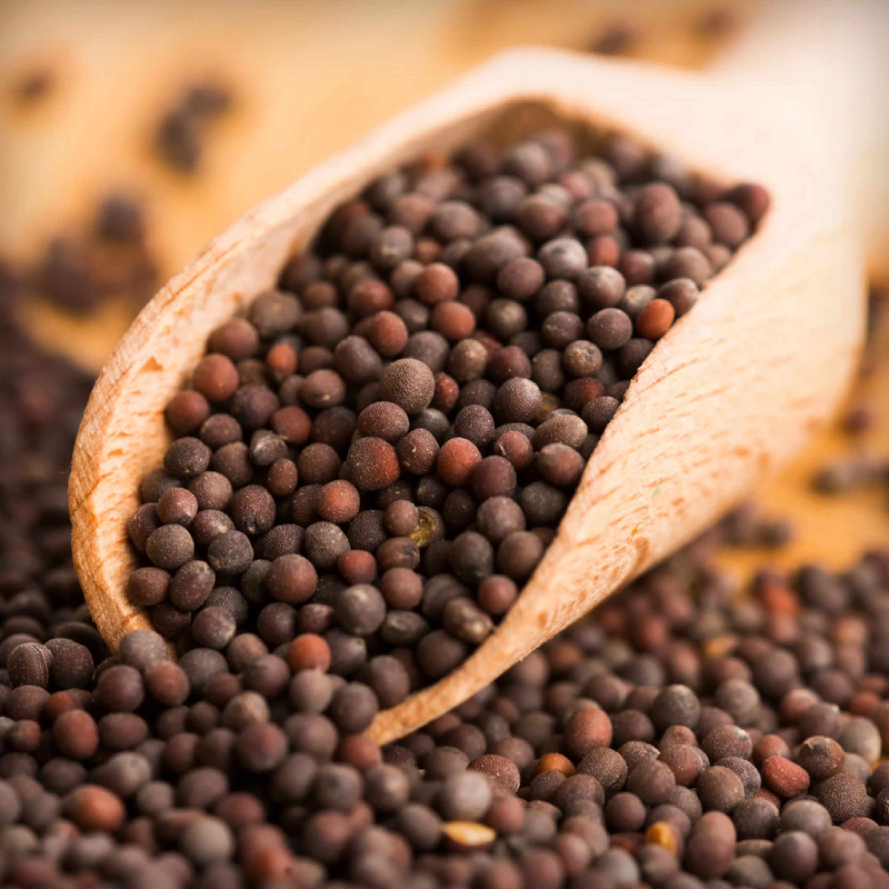 Mustard Vegetable Seeds - 500 Seeds
